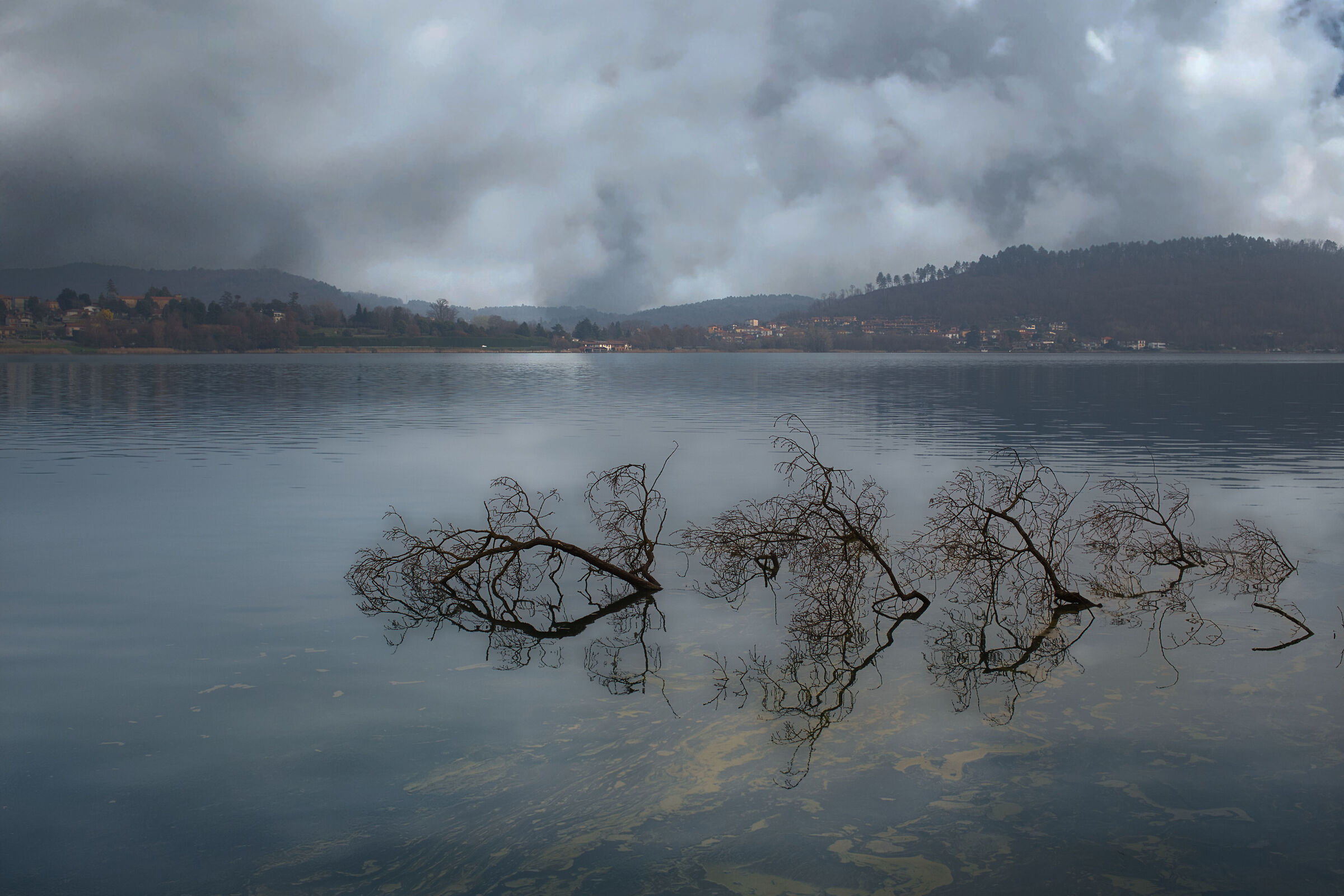 Untitled Photo