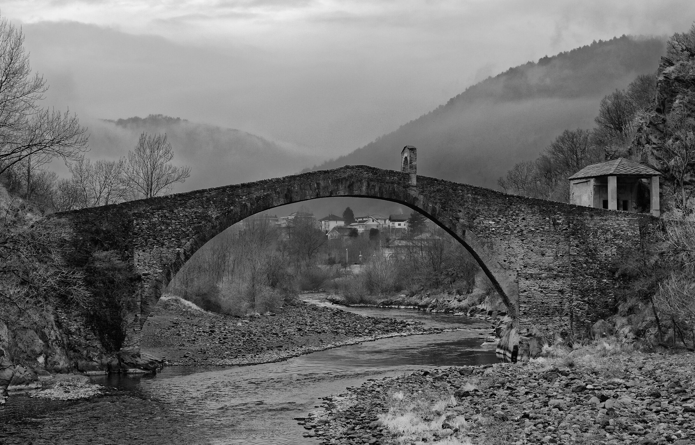 Nel Mezzo del Cammin di Nostra Vita....