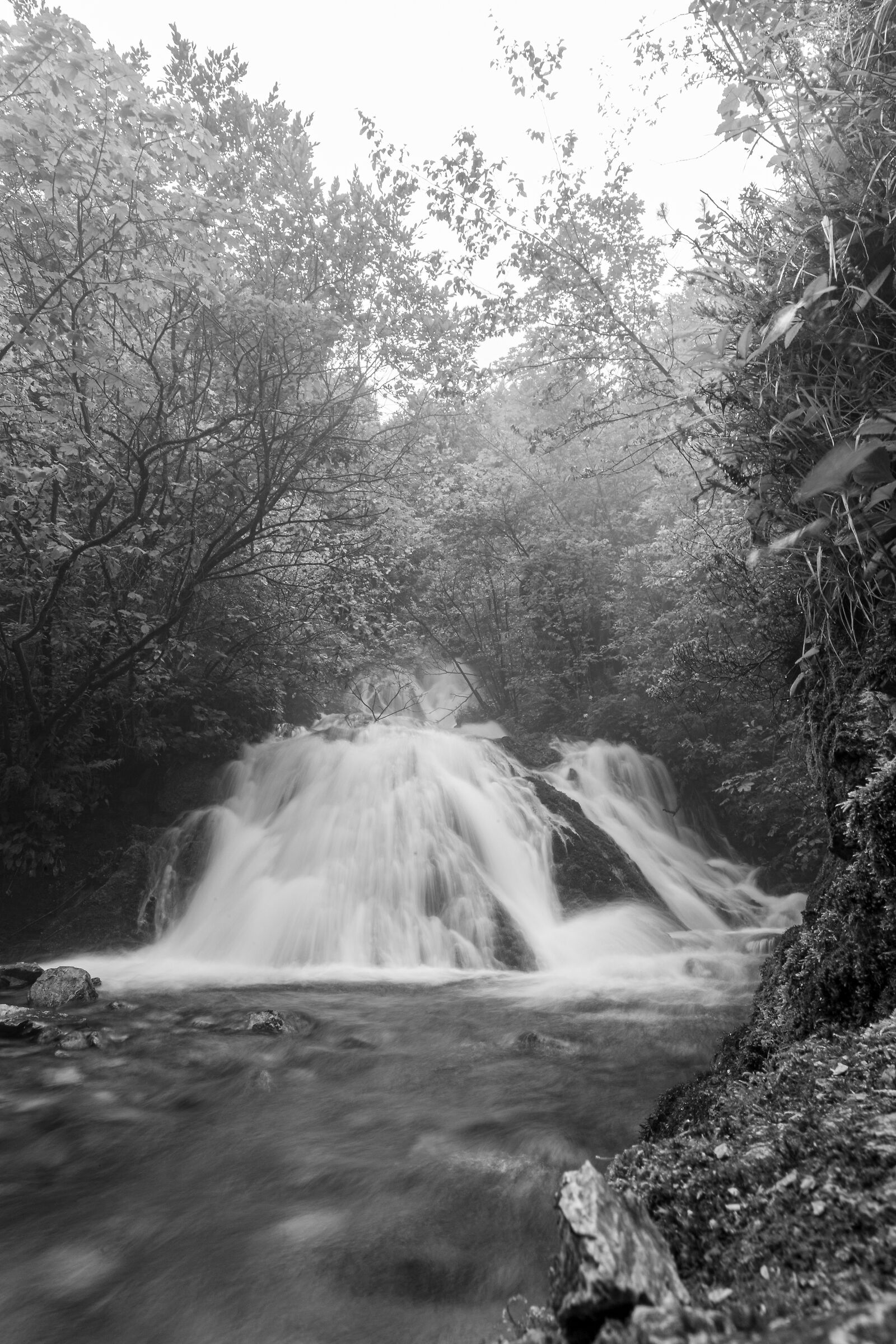 The Cellina, a tributary