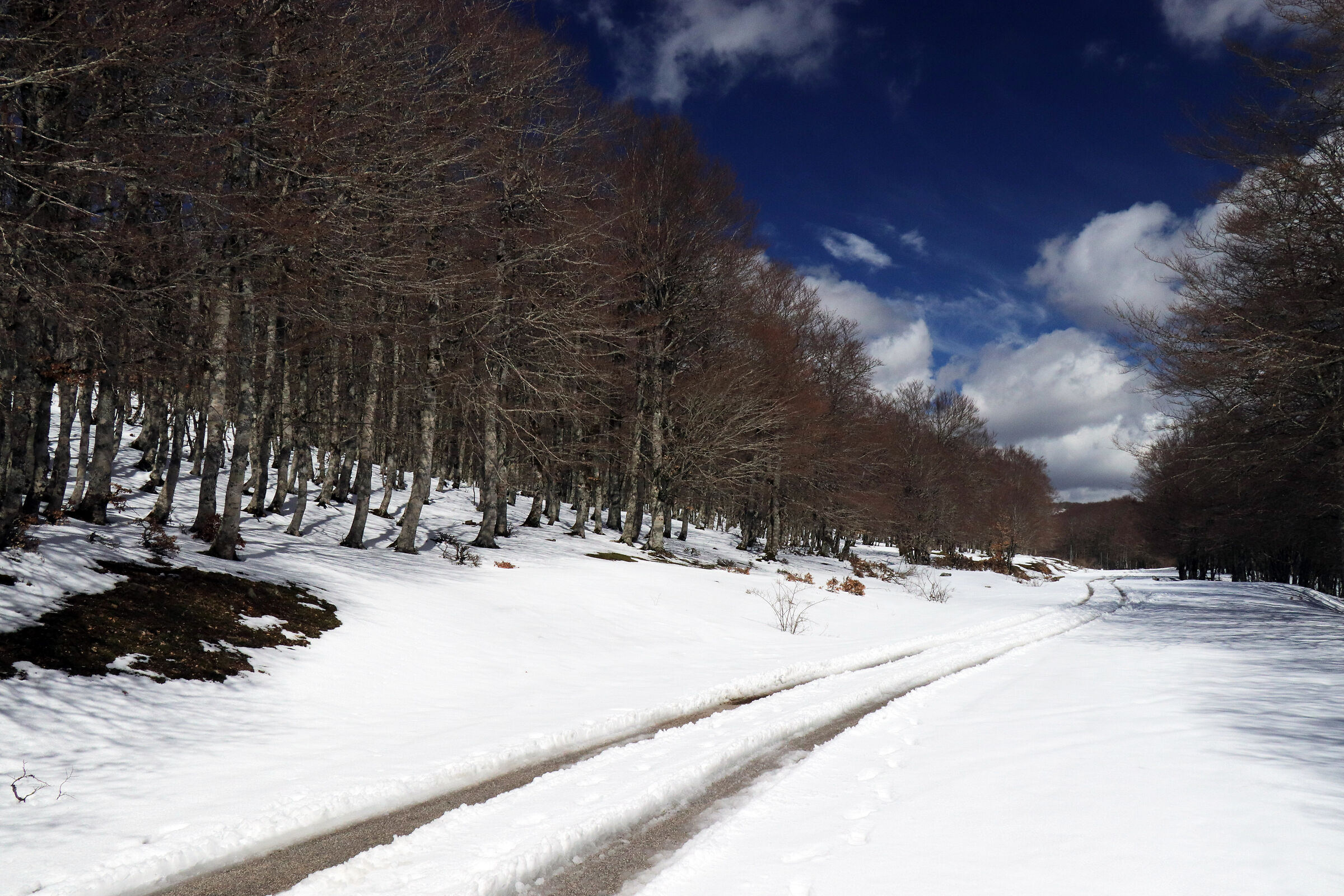 Volturino, Inverno 2026