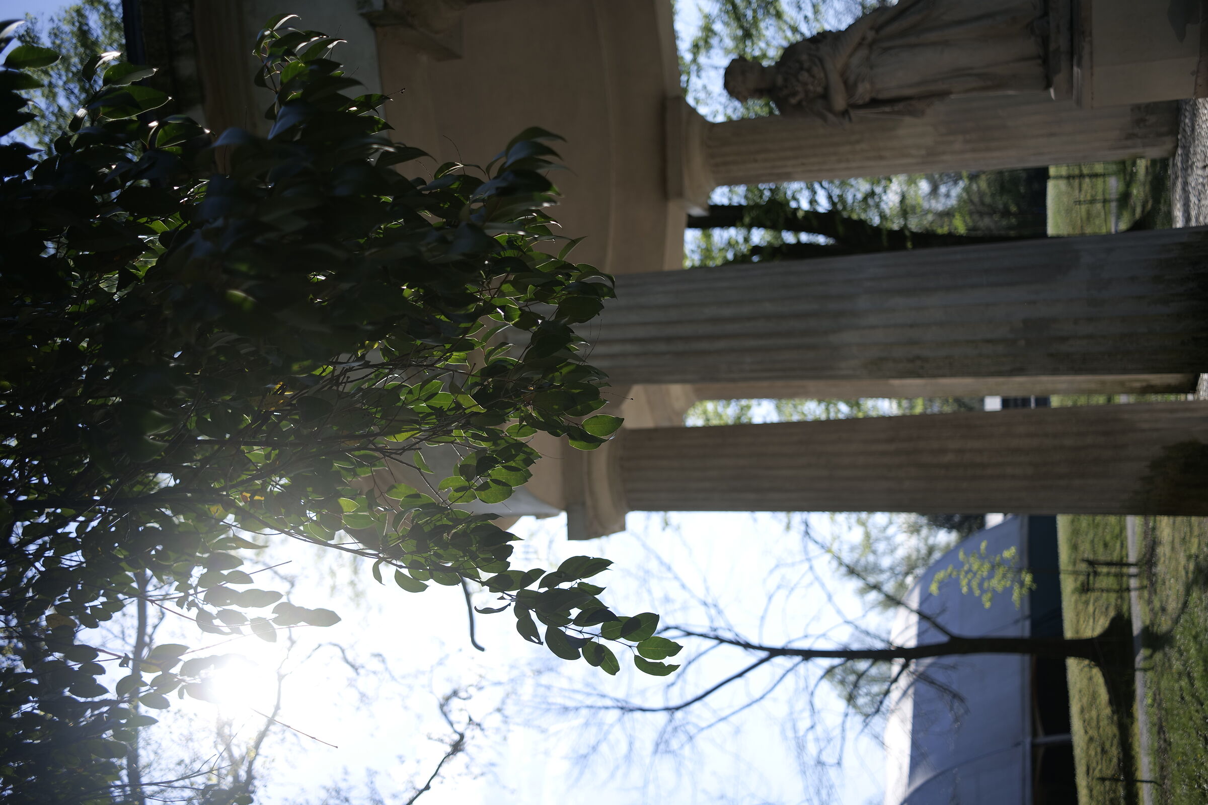 backlight at F2
