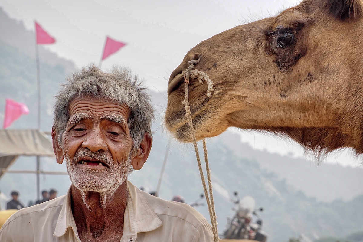 Pushkar: the man and his camel