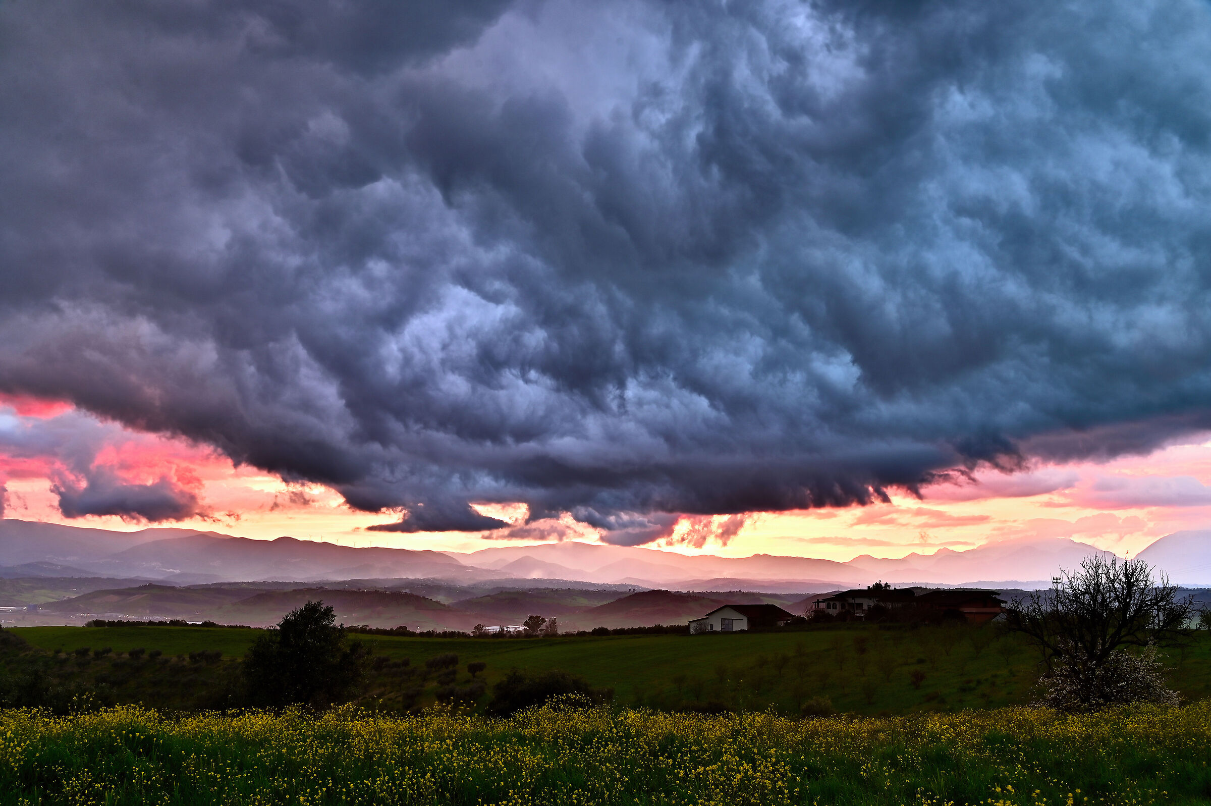Thunderstorm Looming