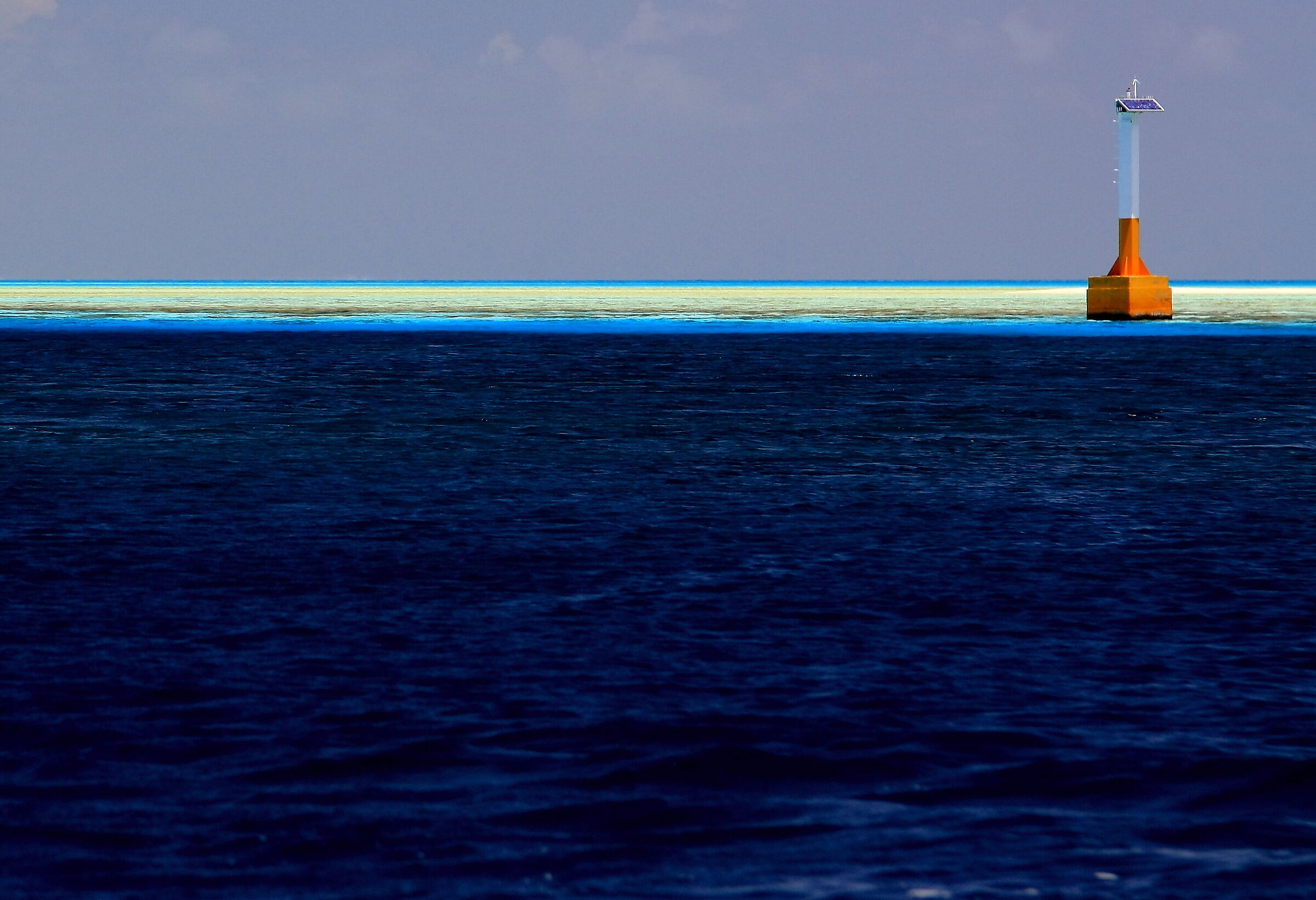 Fancy the sea , Rarotonga