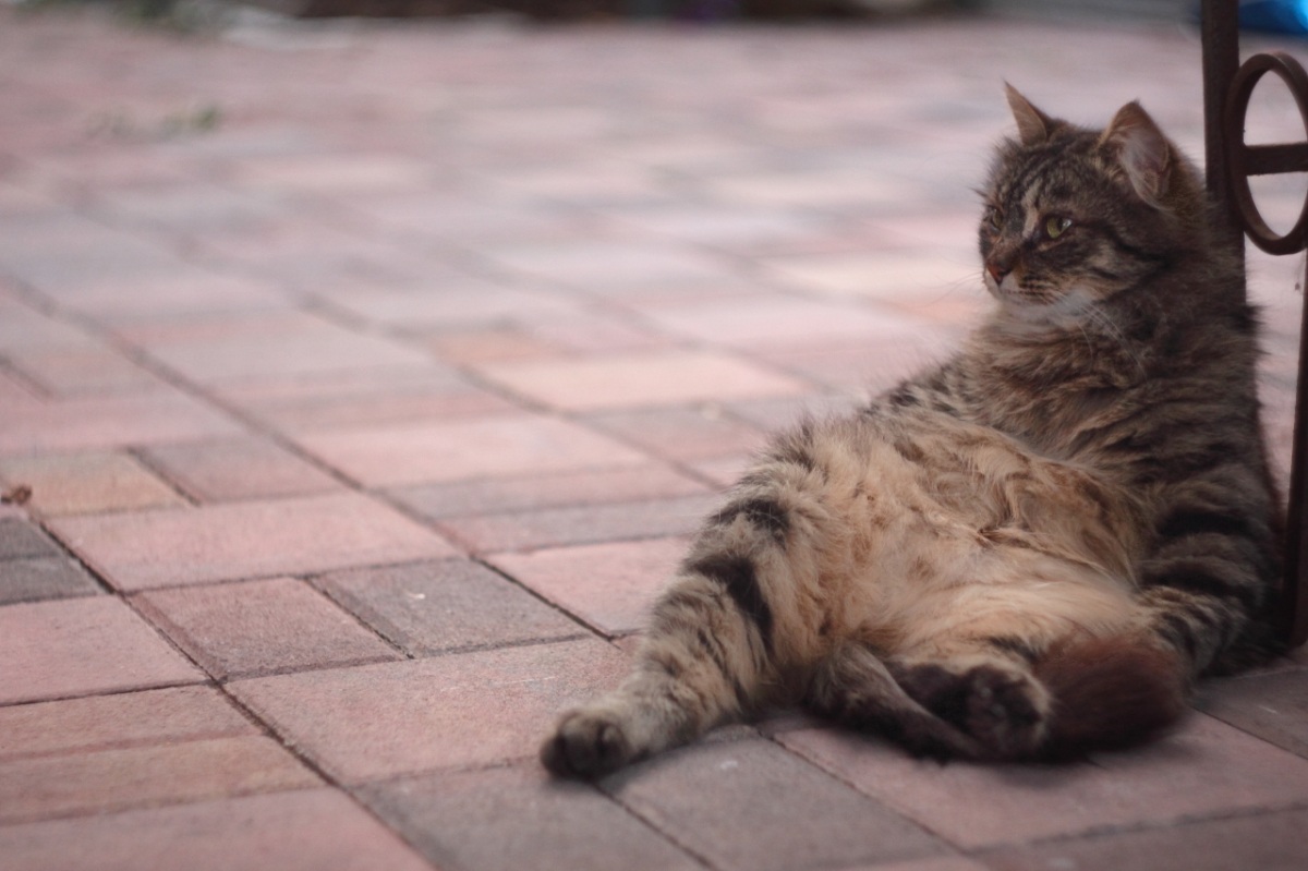 contro il logorio della vita moderna