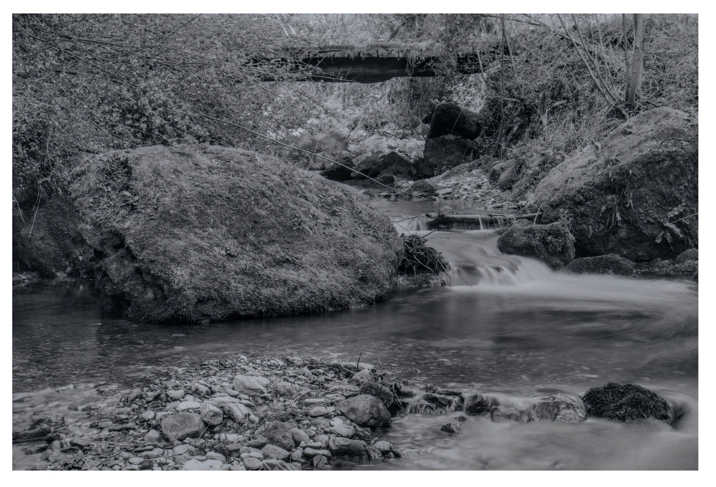 Il piccolo torrente Corbiolo / Prealpi Venete