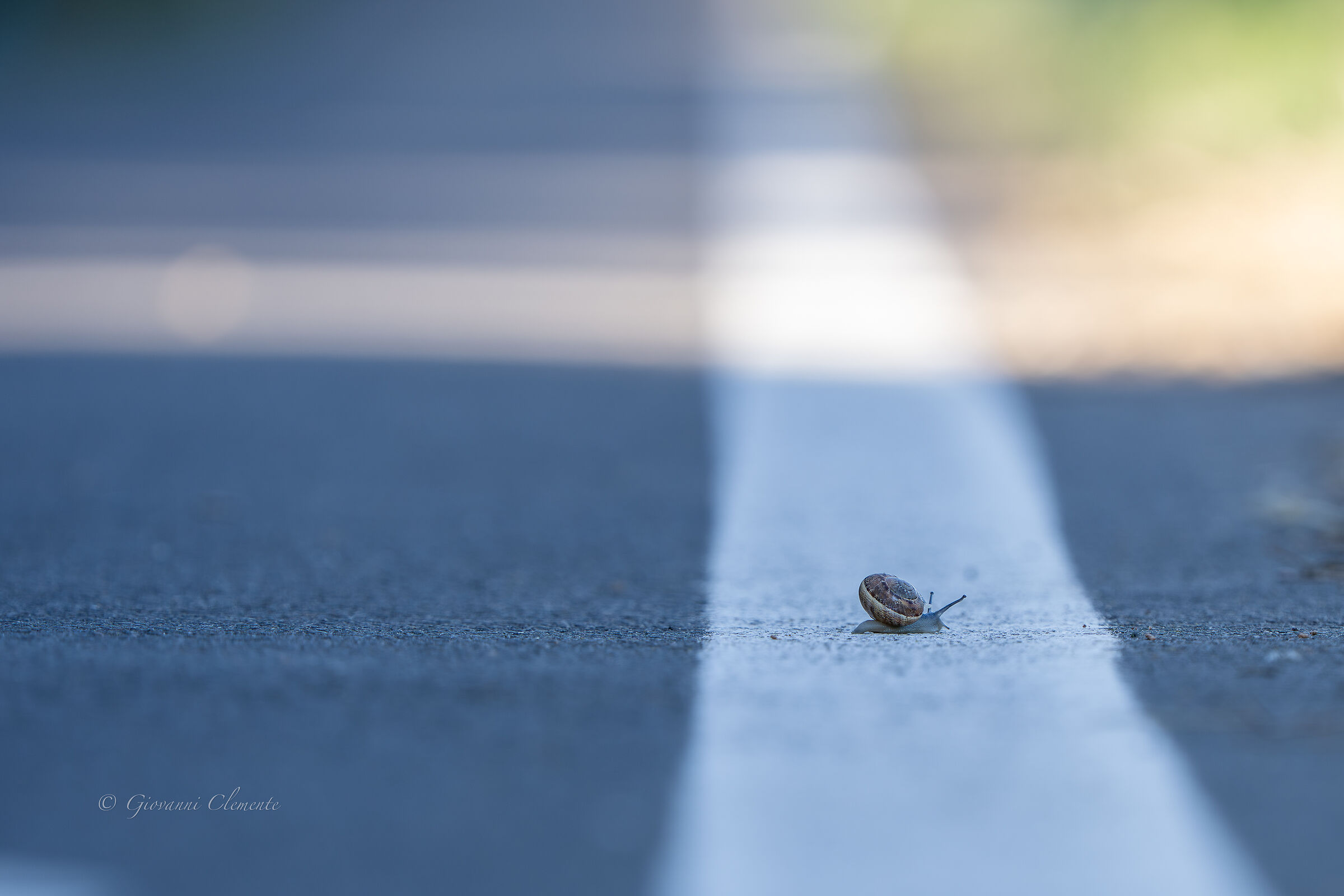 Step
