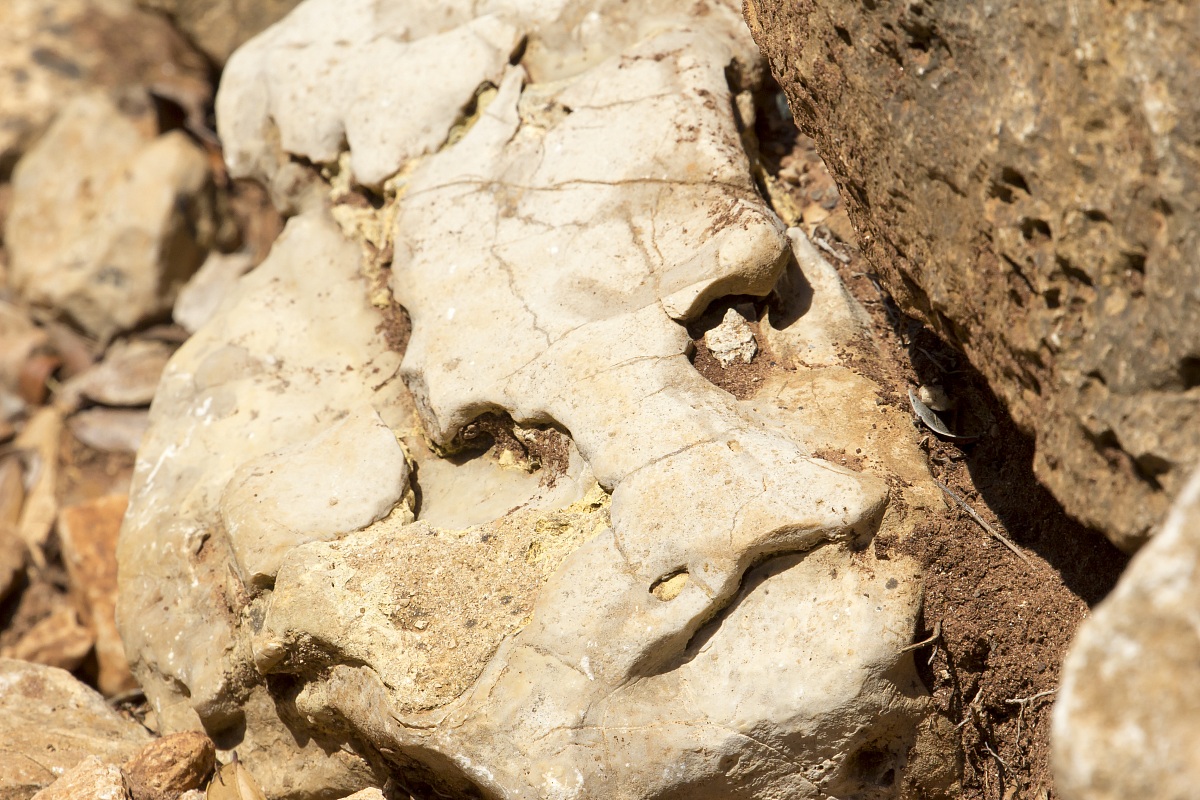 stone face