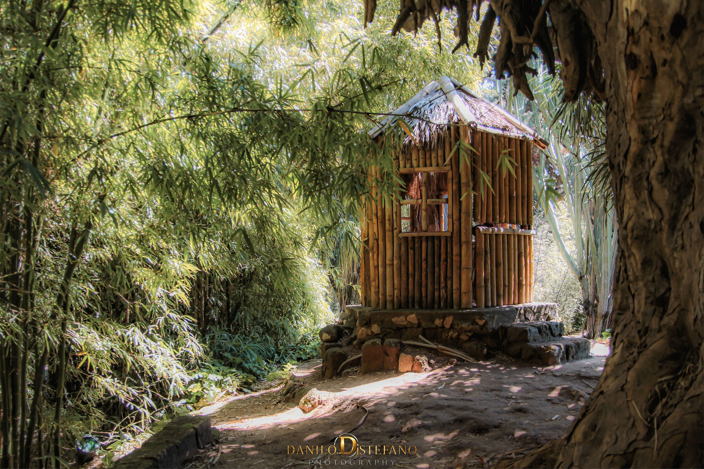 A lost hut