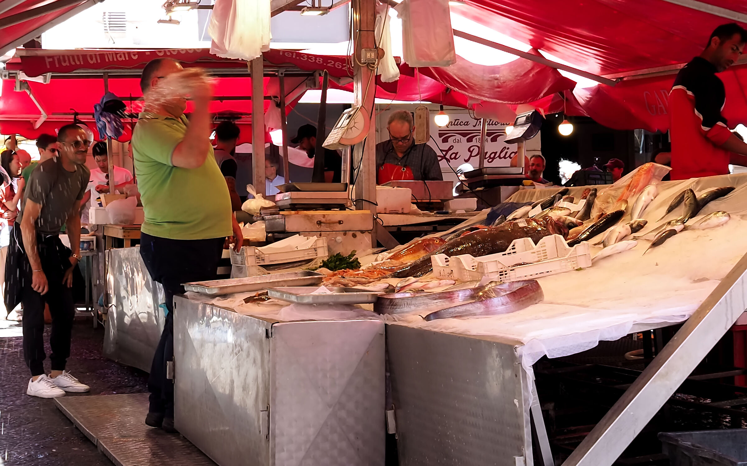 Refreshing your catch at the Catania fish market