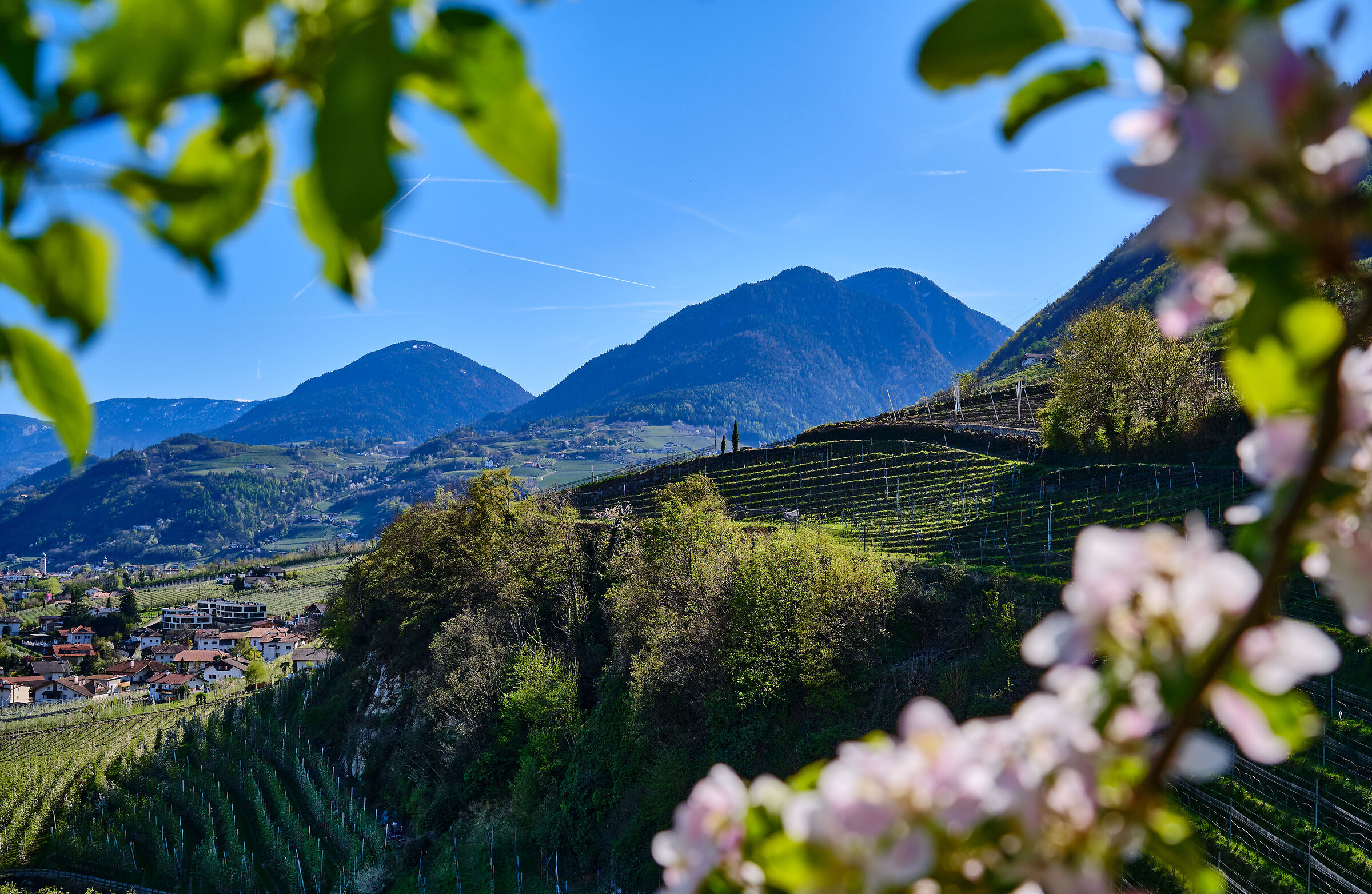 luce e atmosfera pasquale