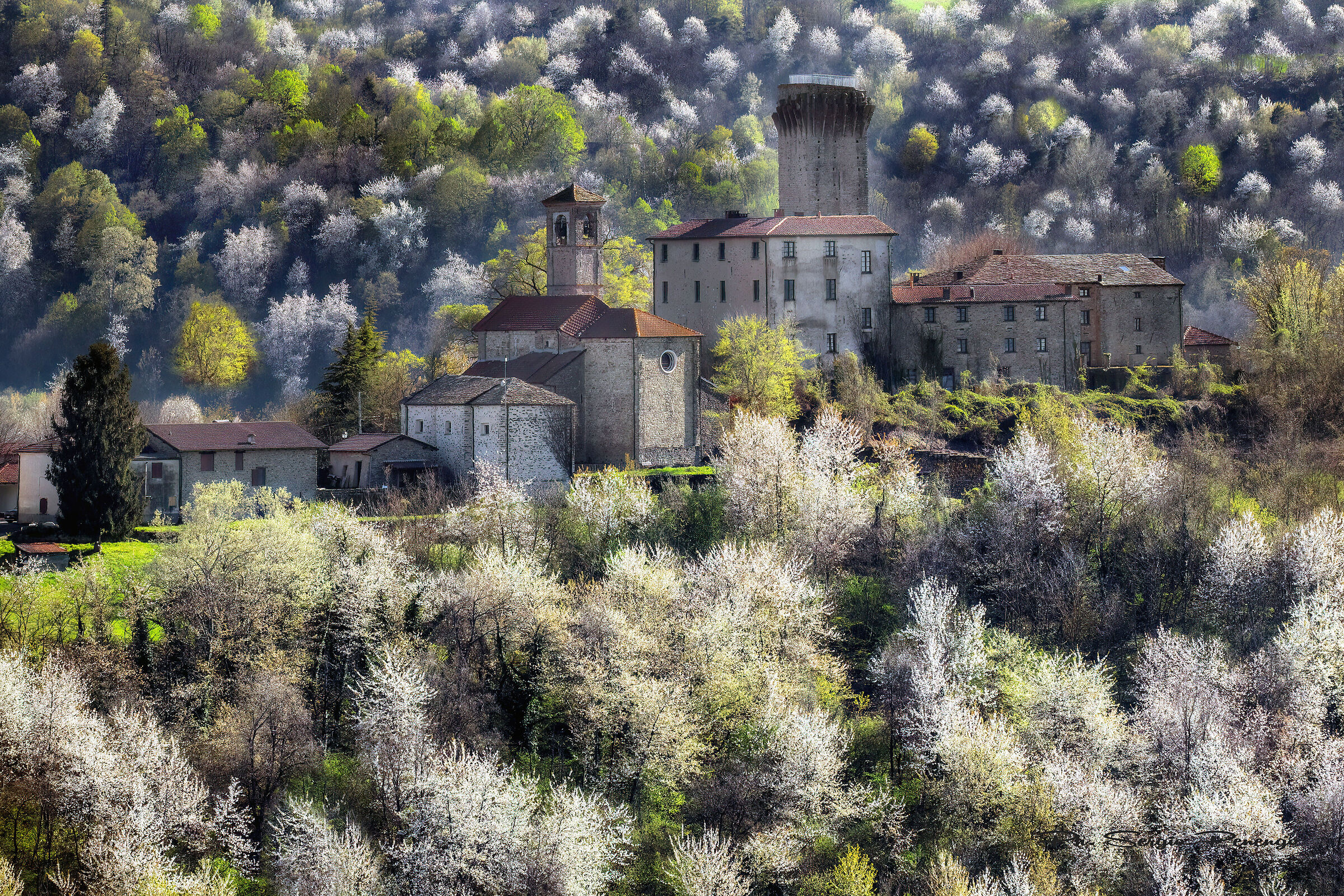 Primavera a Olmo Gentile (at)