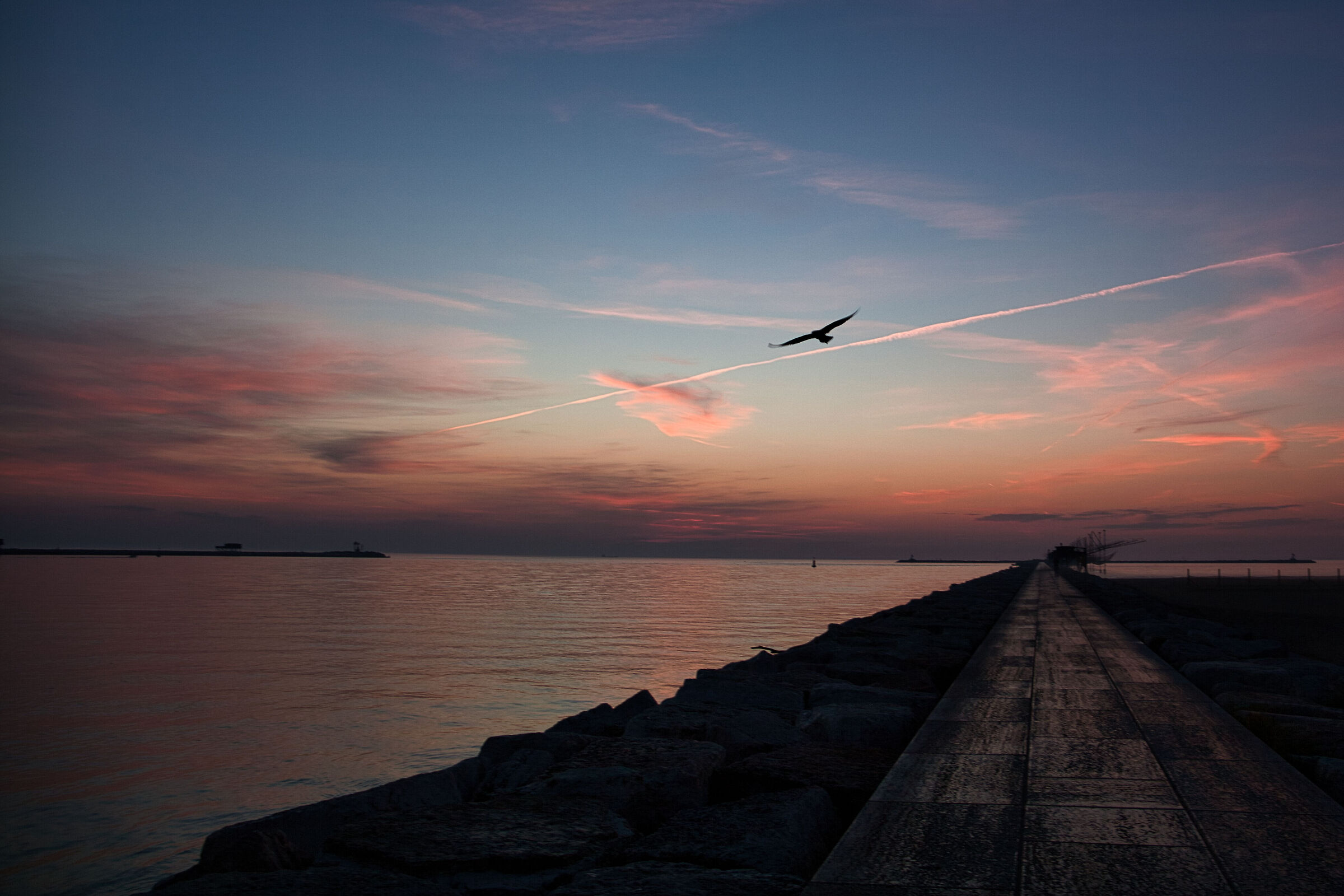 Chioggia