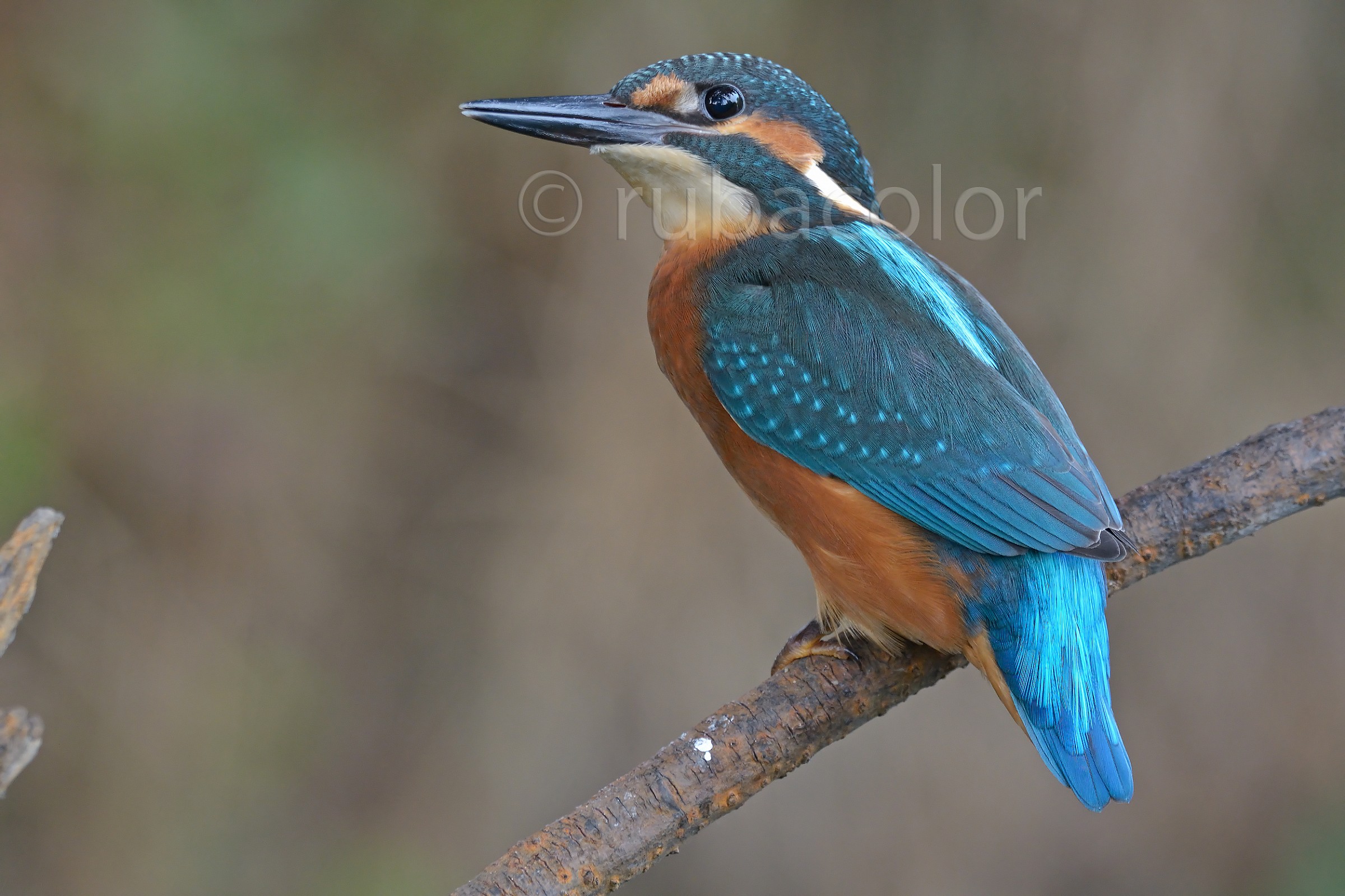 With an eye towards the photographer