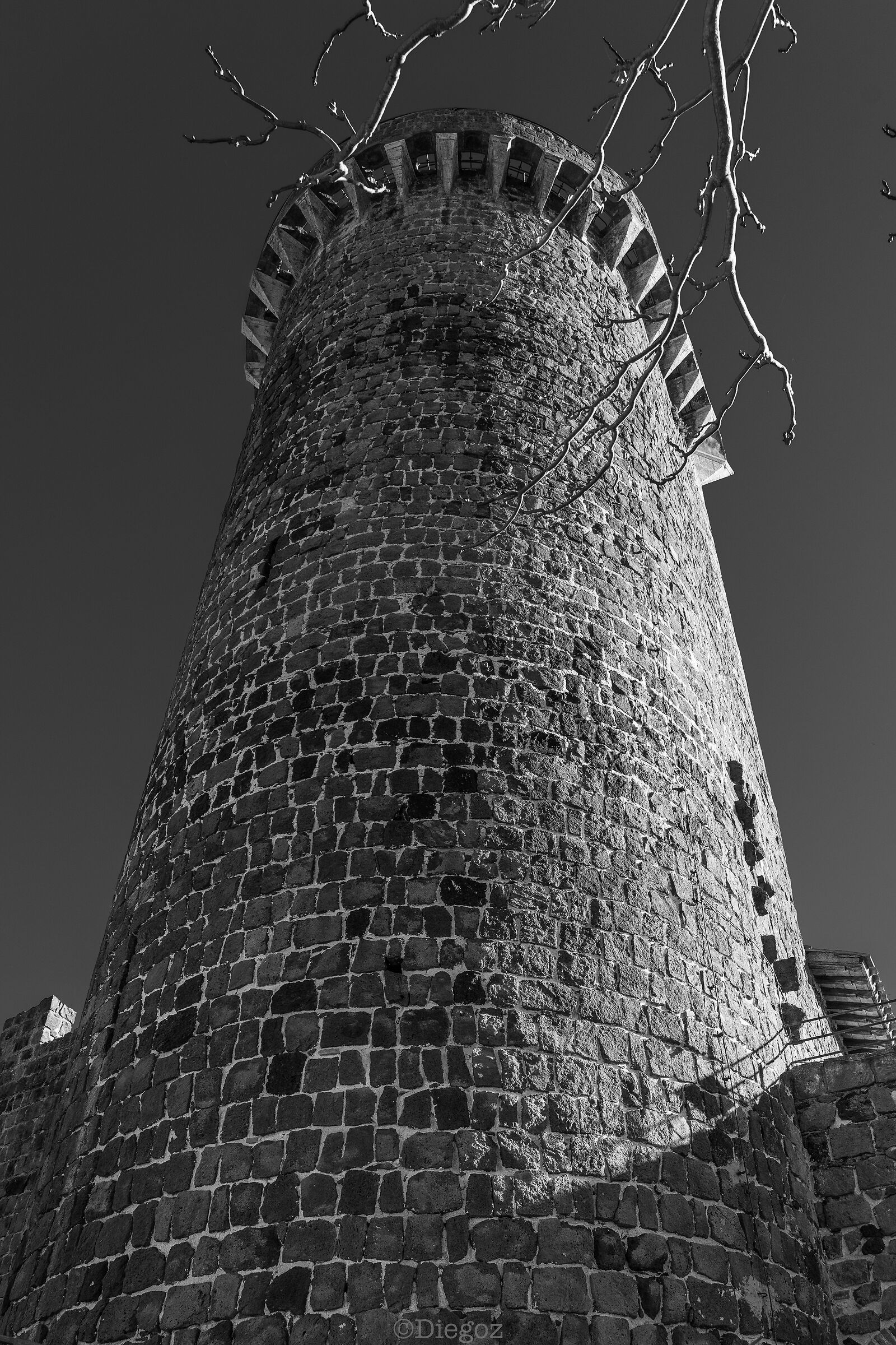 Untitled Photo