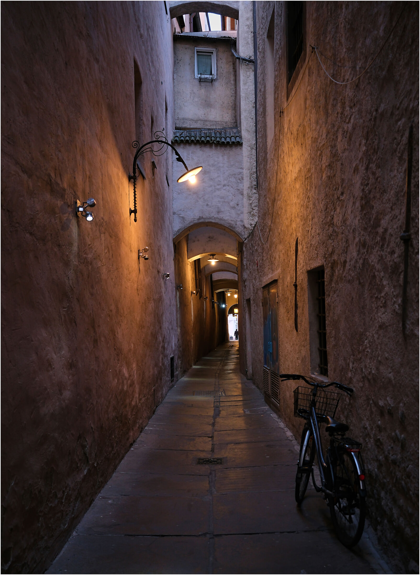 -The Bicycle-
