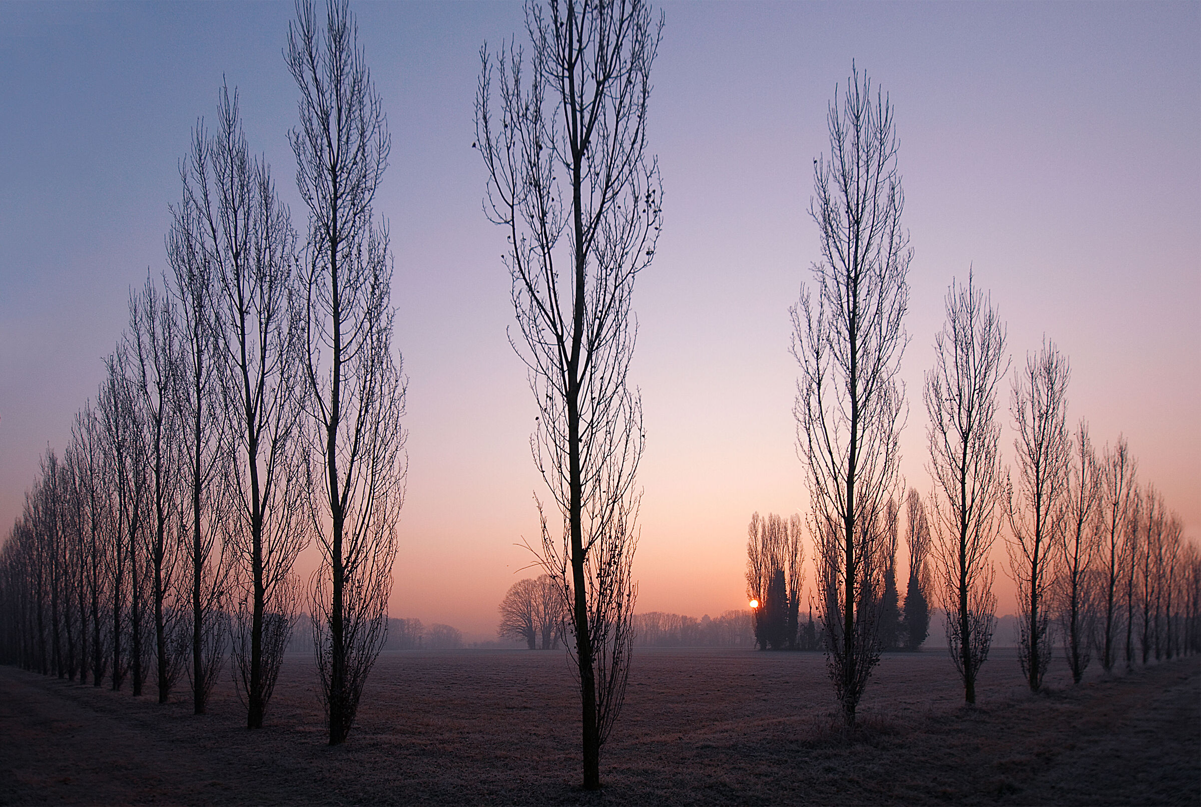 Alba in Brianza