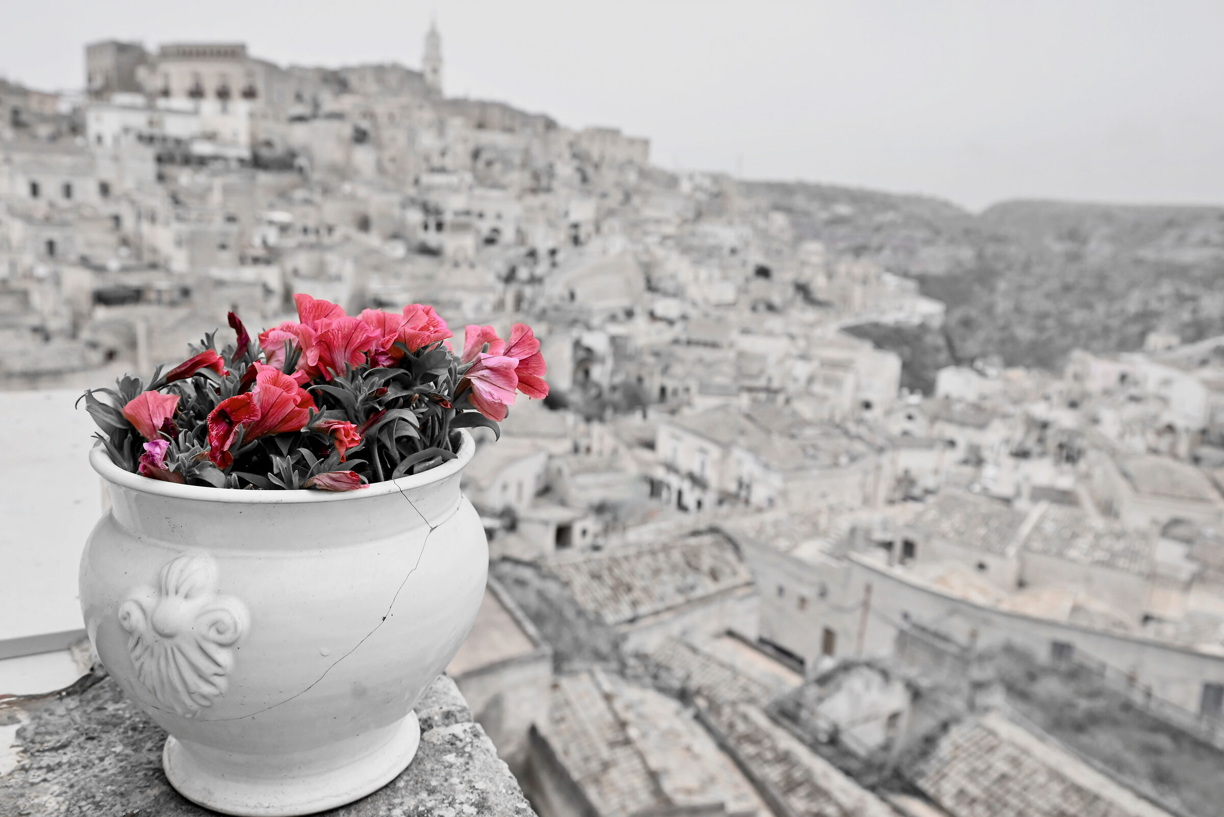 Matera 8