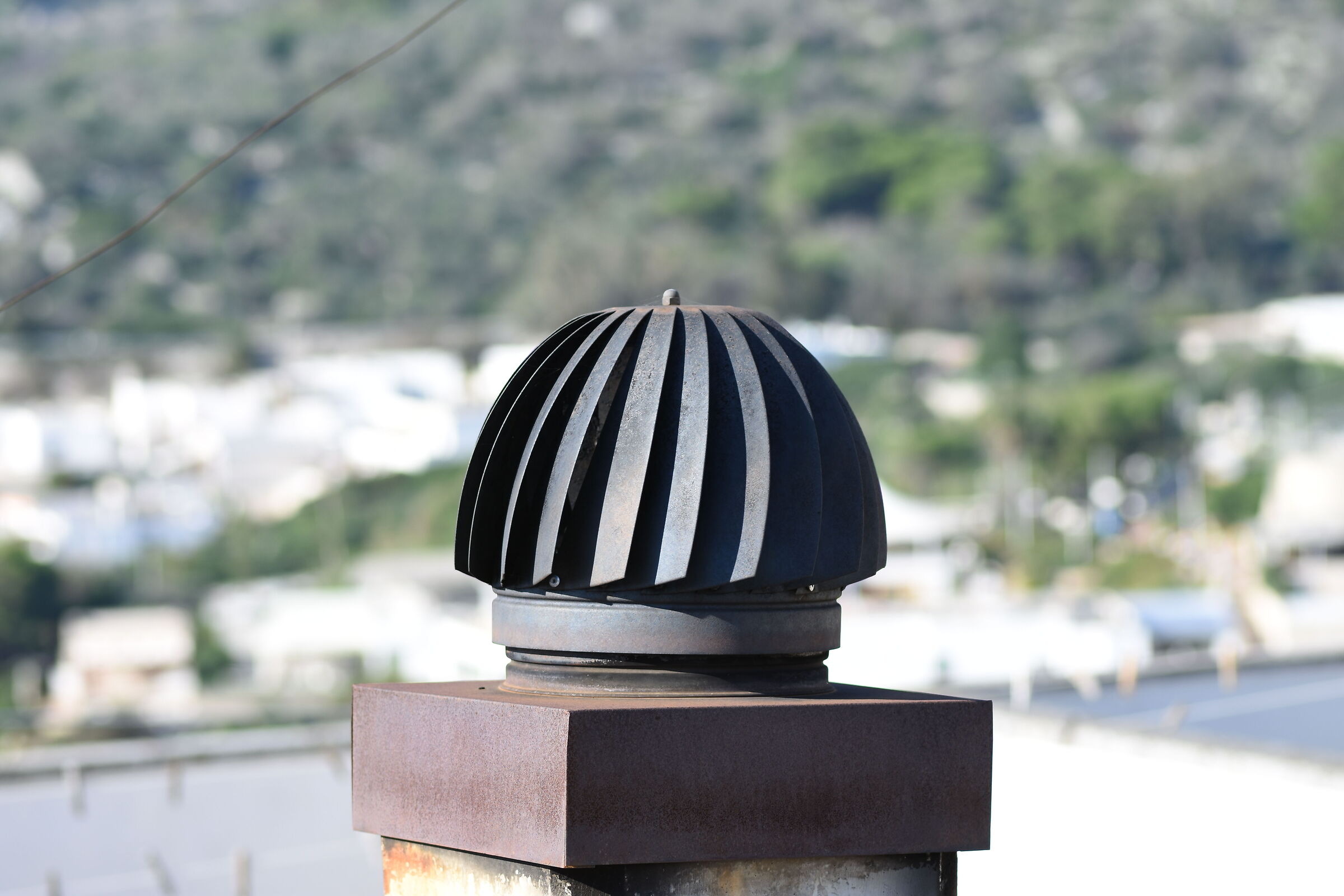 " Crop 150 " Tokina 100 F. 2.8 Atx-i - Nikon D 7200