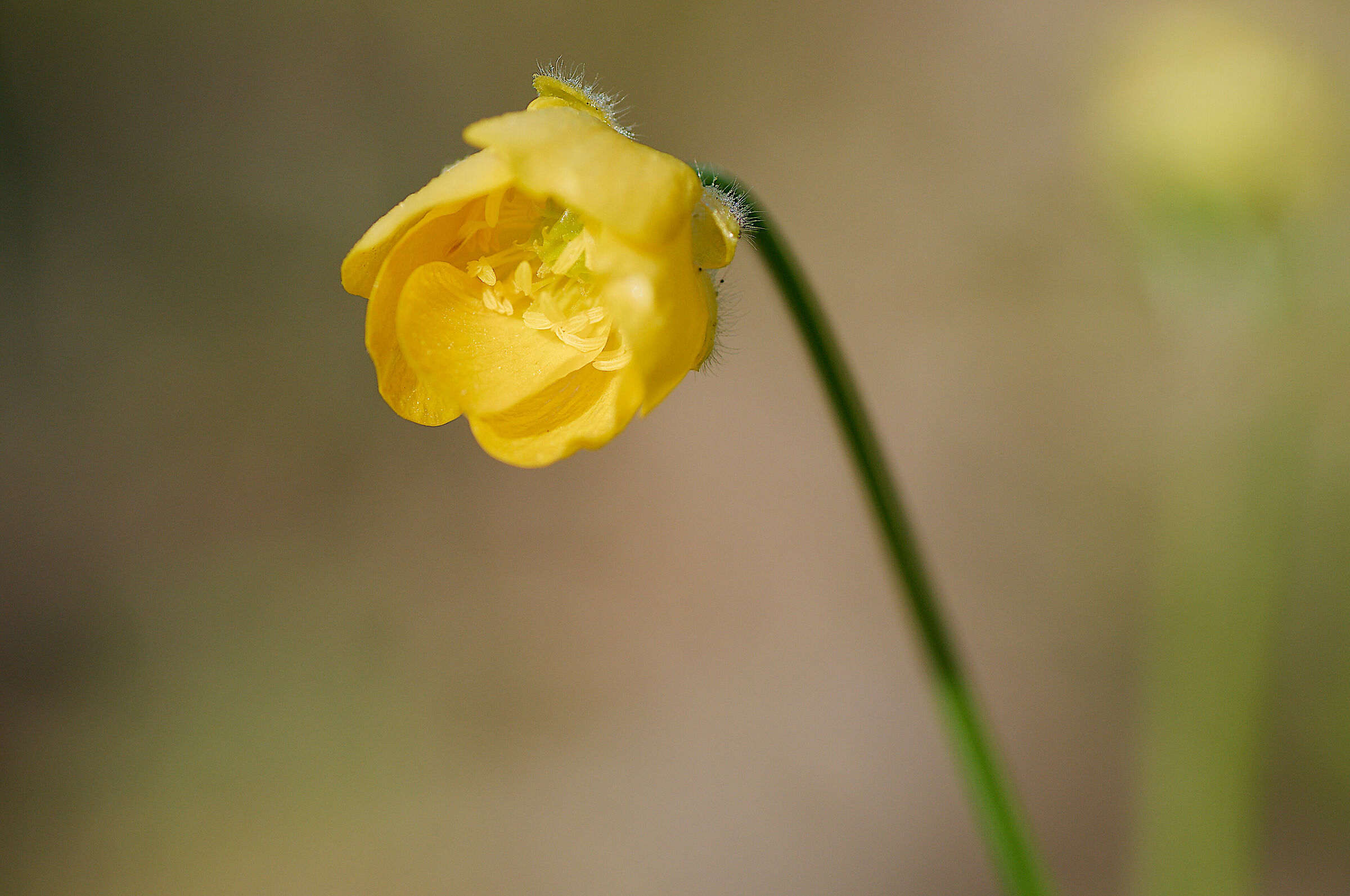 Untitled Photo