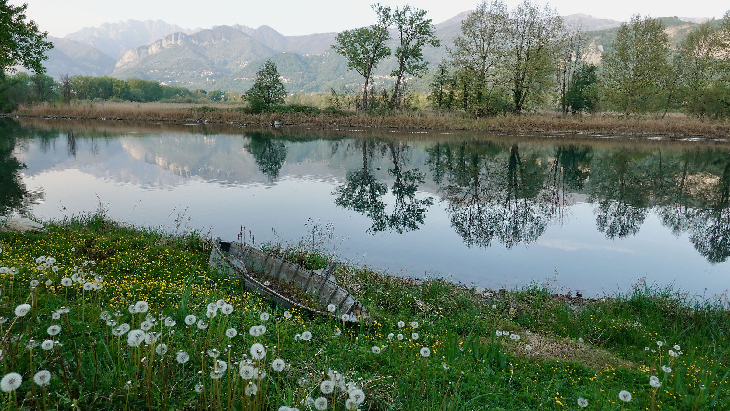 Abandoned boat along the Adda