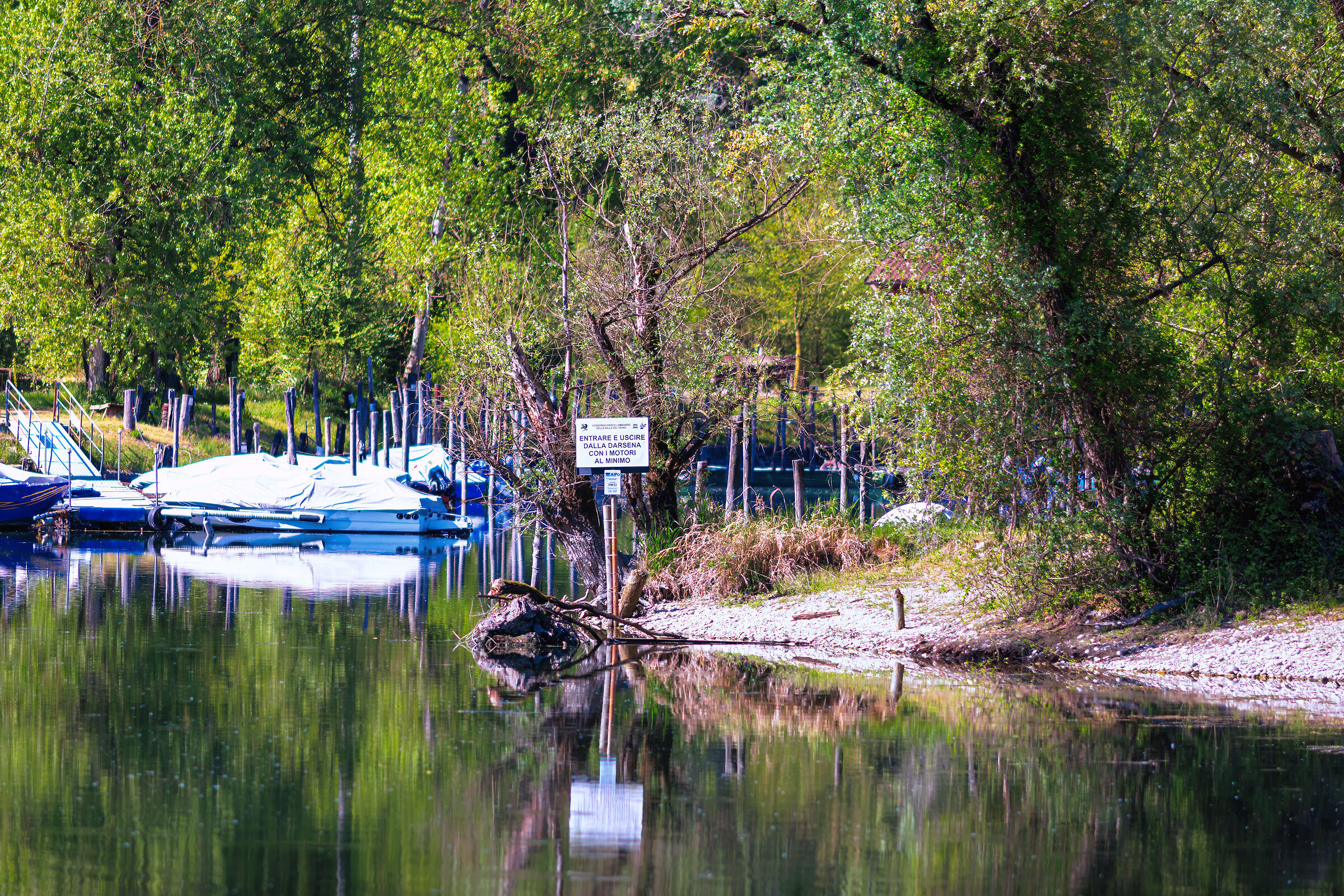 Reflections in the dock