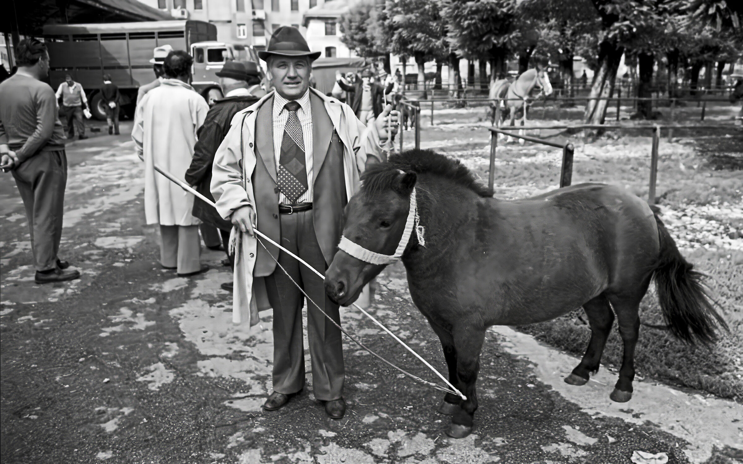 amarcord Fiera San Giovanni