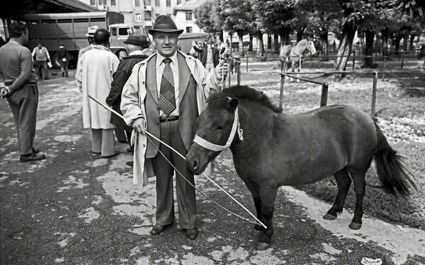 Foto