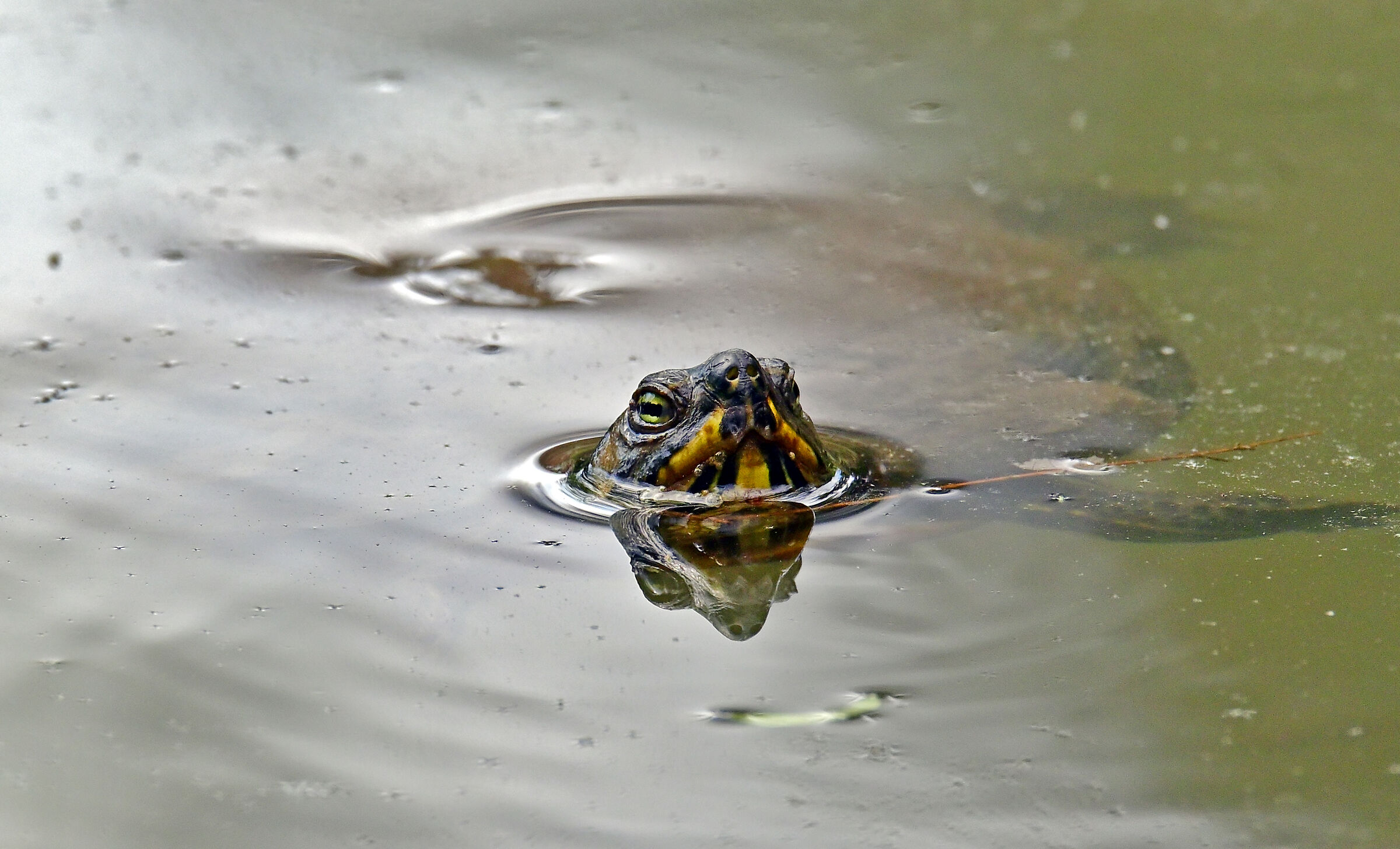 Finished hibernation