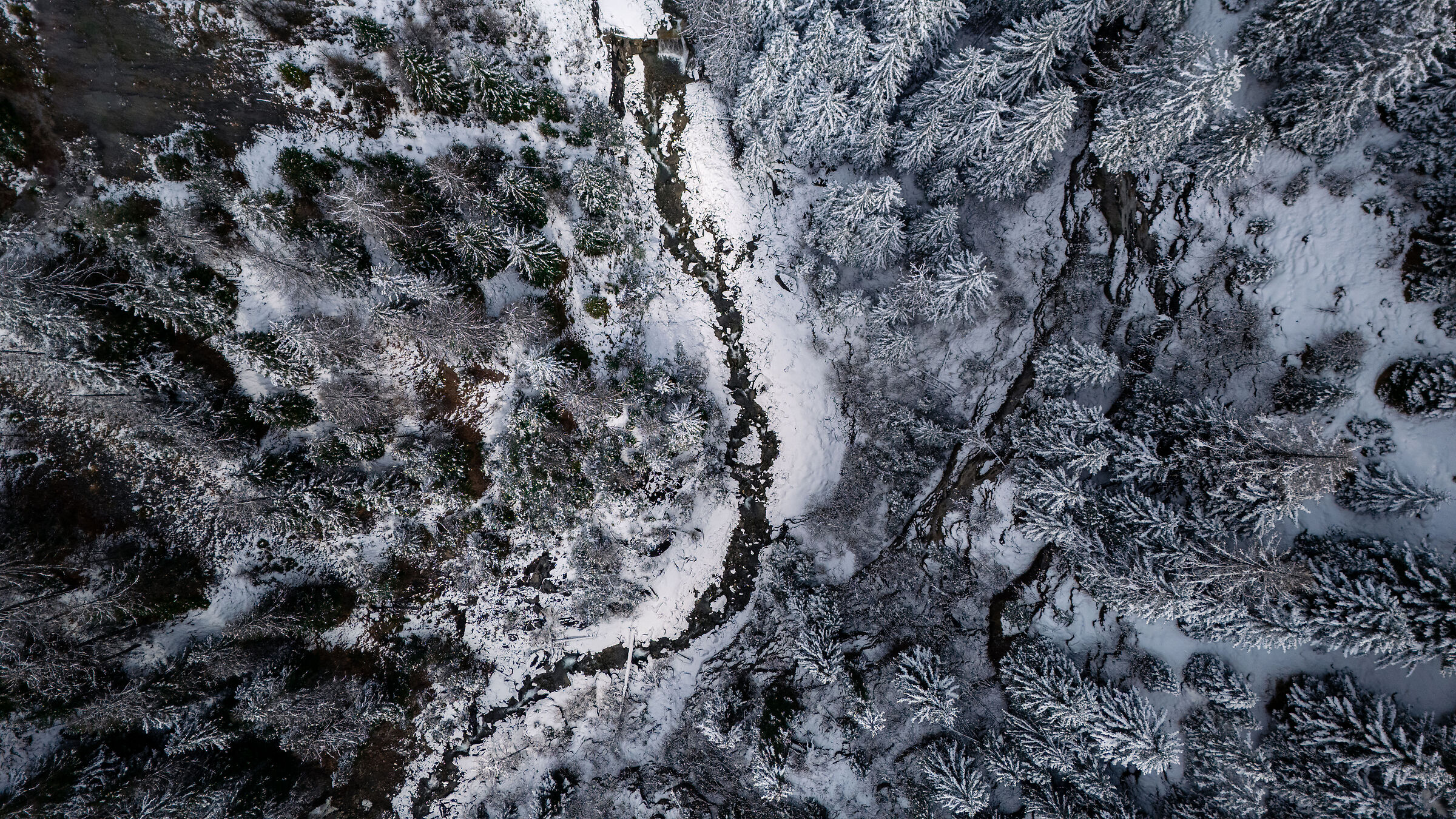 Veins of the Stelvio