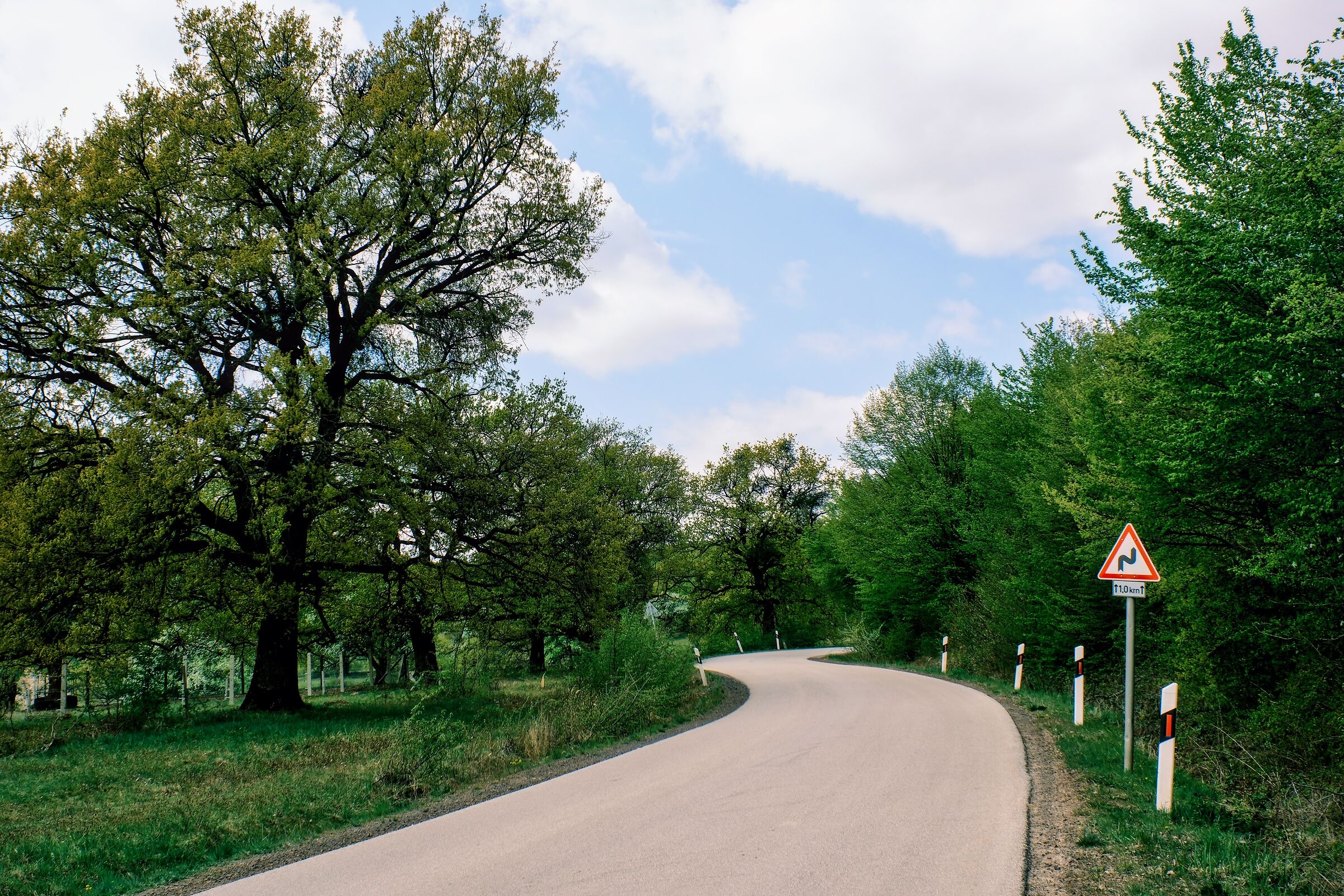 Spring mood in Zemplén 1