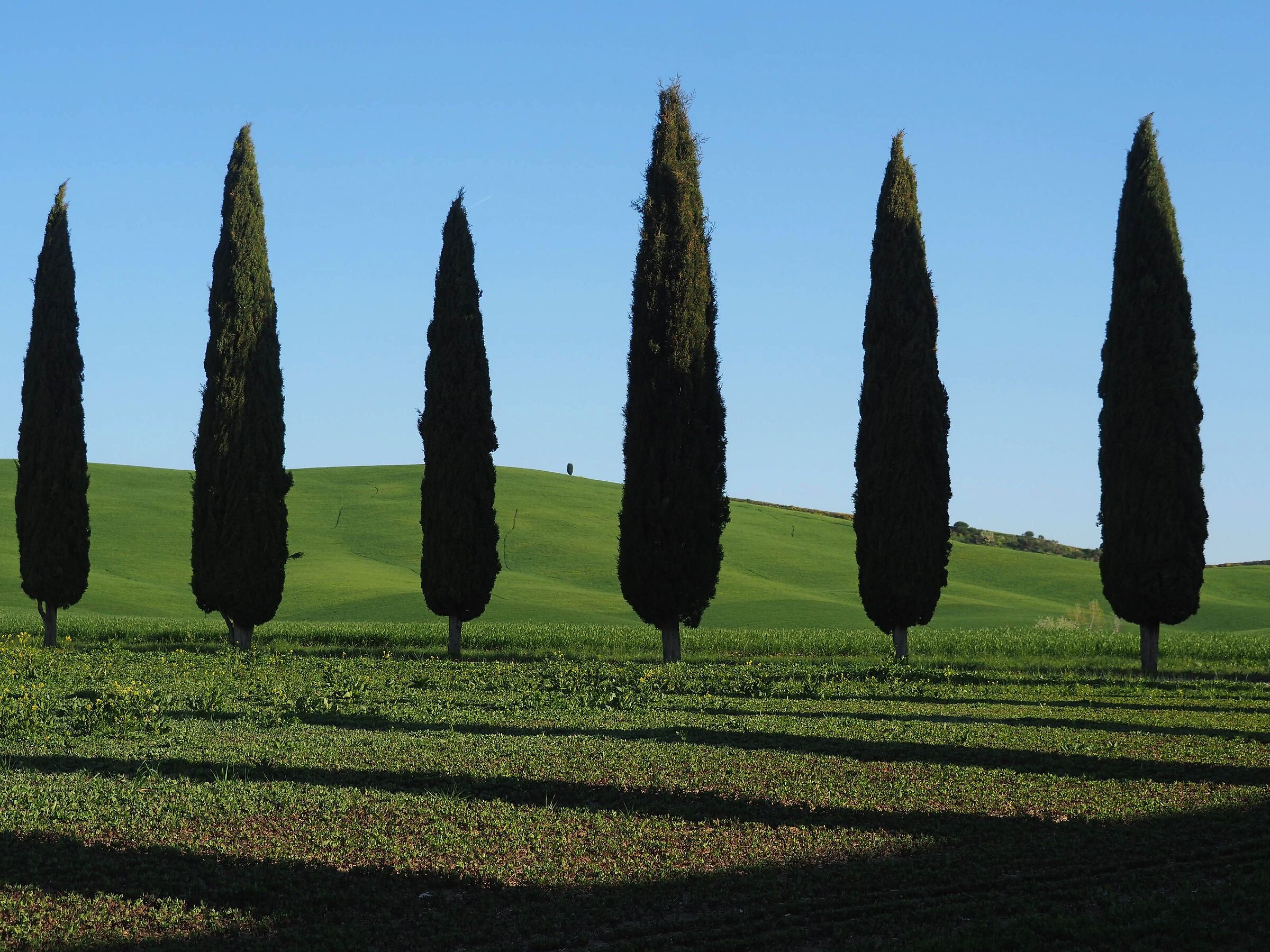 Wherever you look:Beauty 2