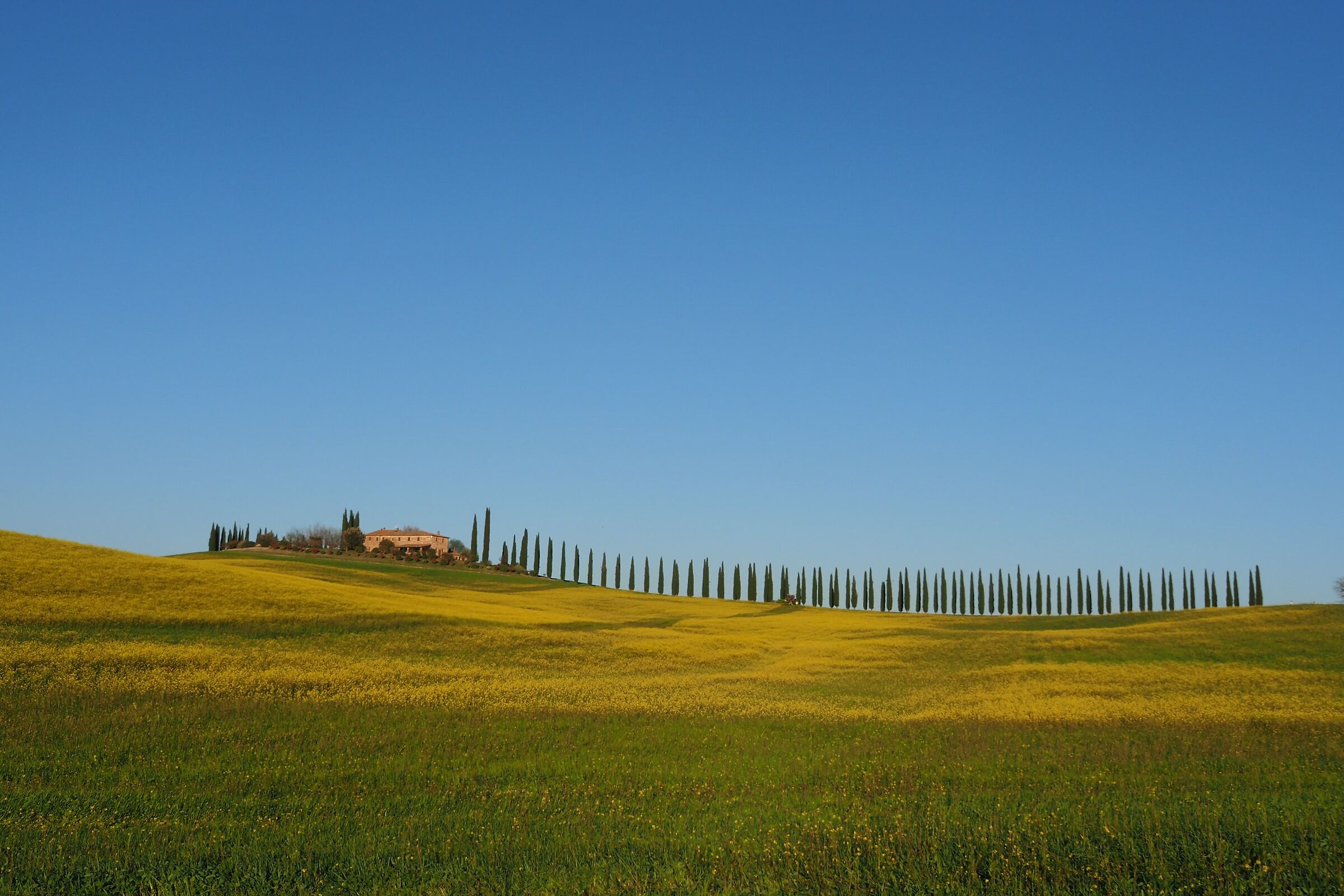 spring in Val d'Orcia