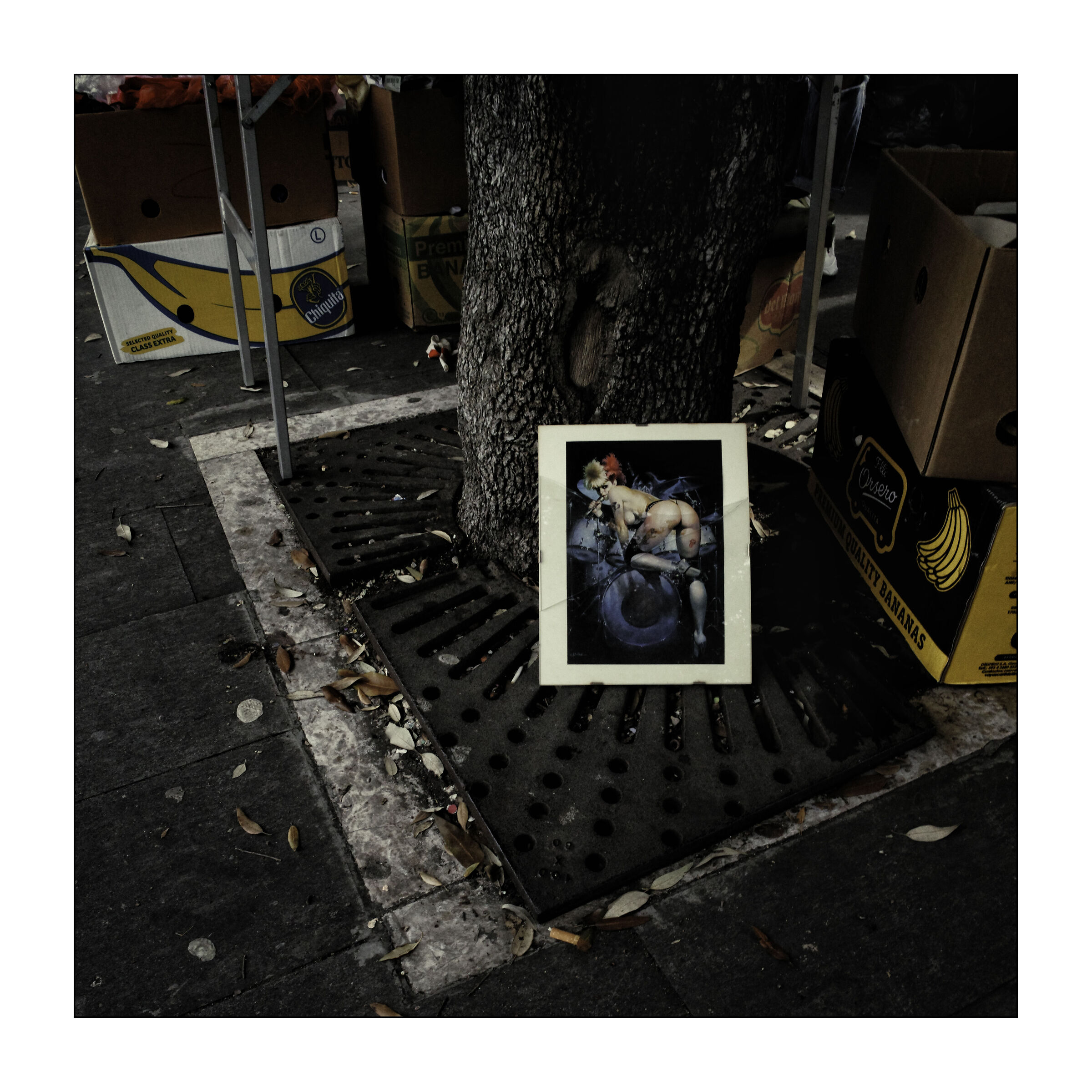 Untitled Photo