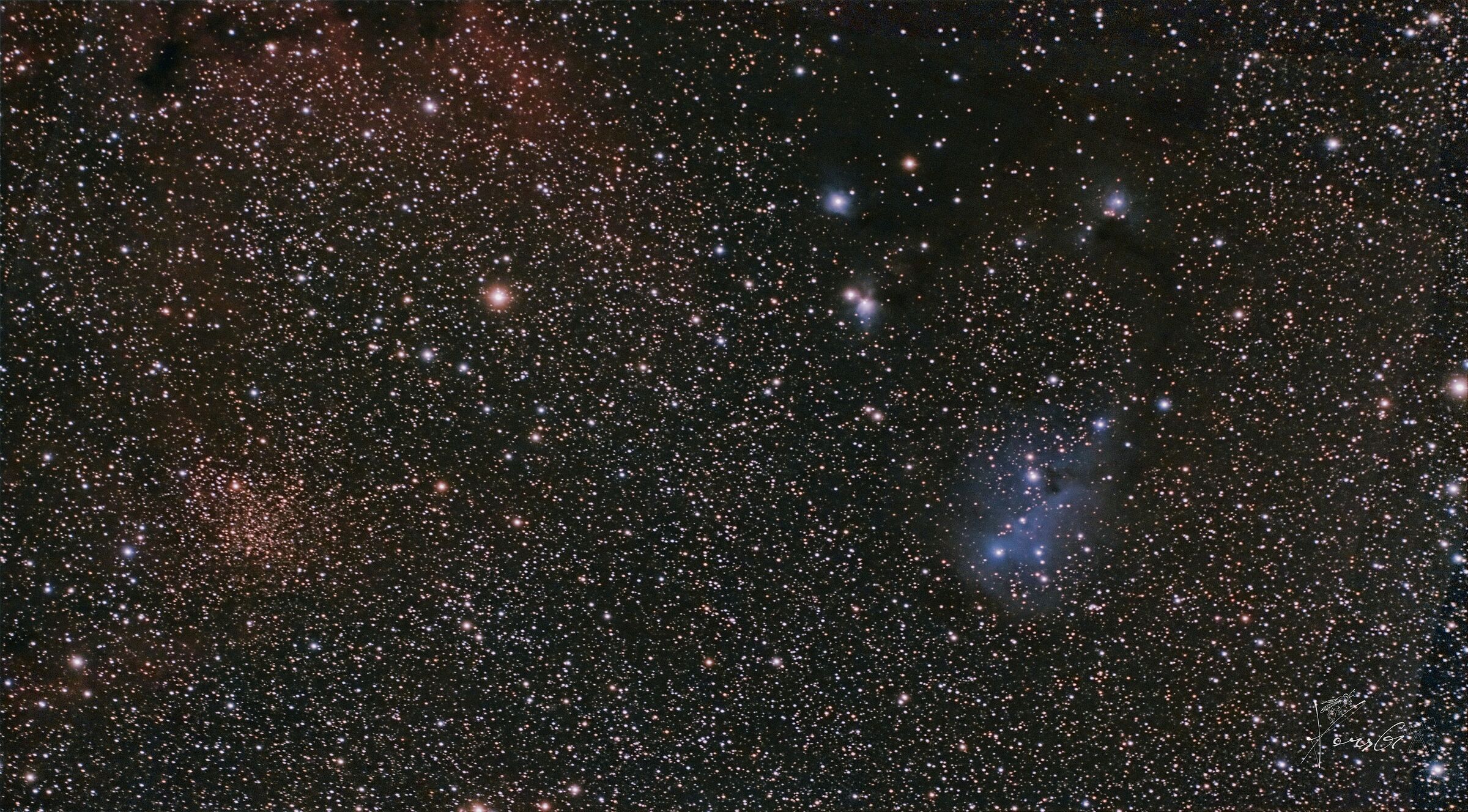 ic2169/ic447