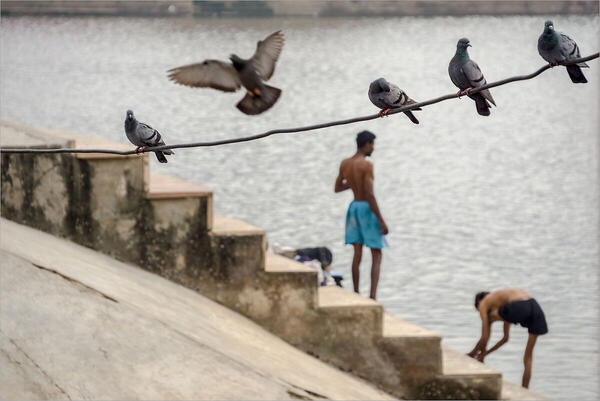 Foto