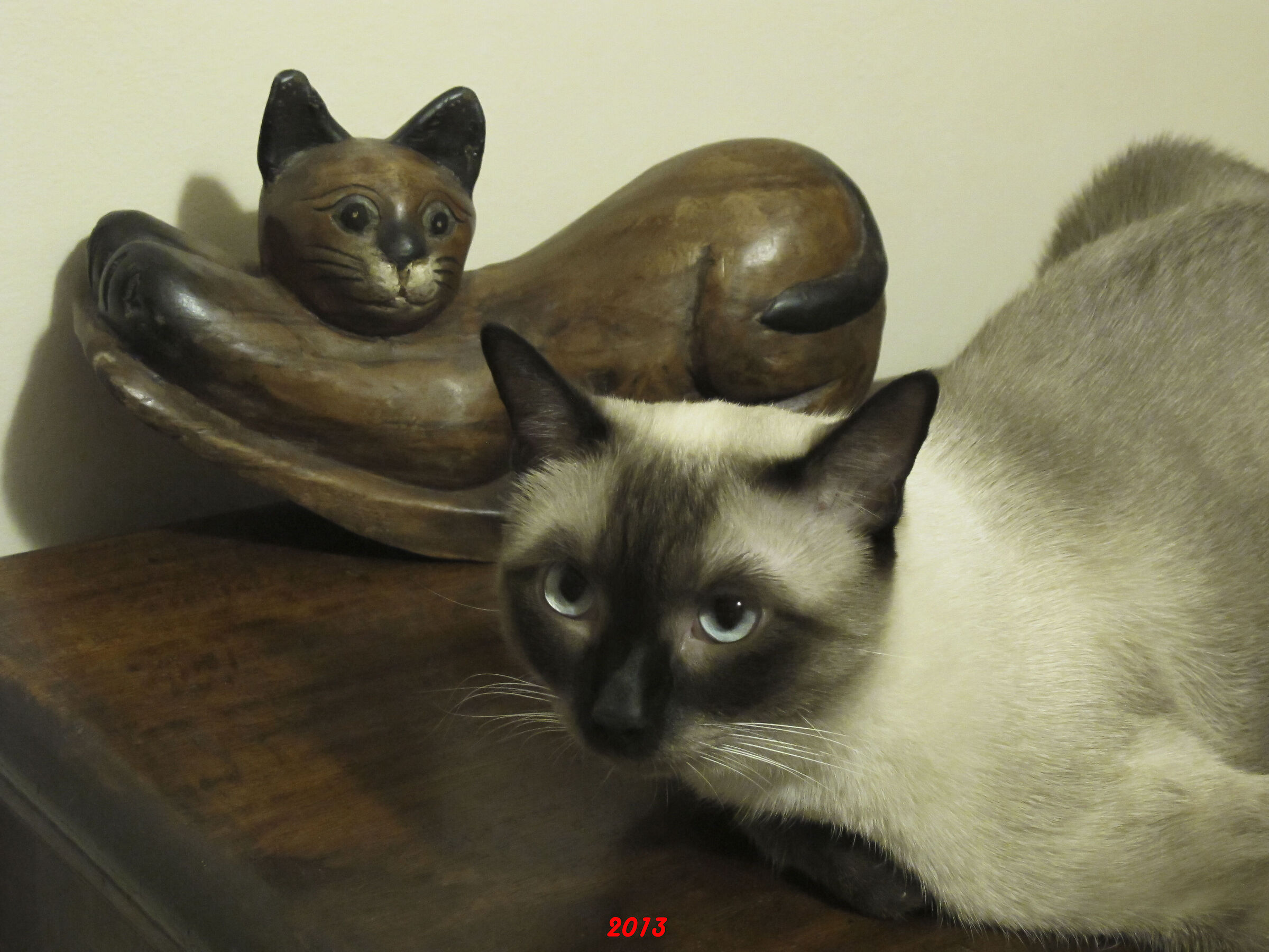 Mimì
