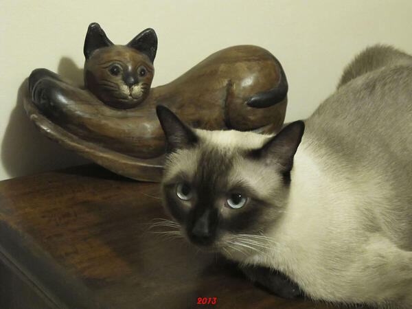 Foto