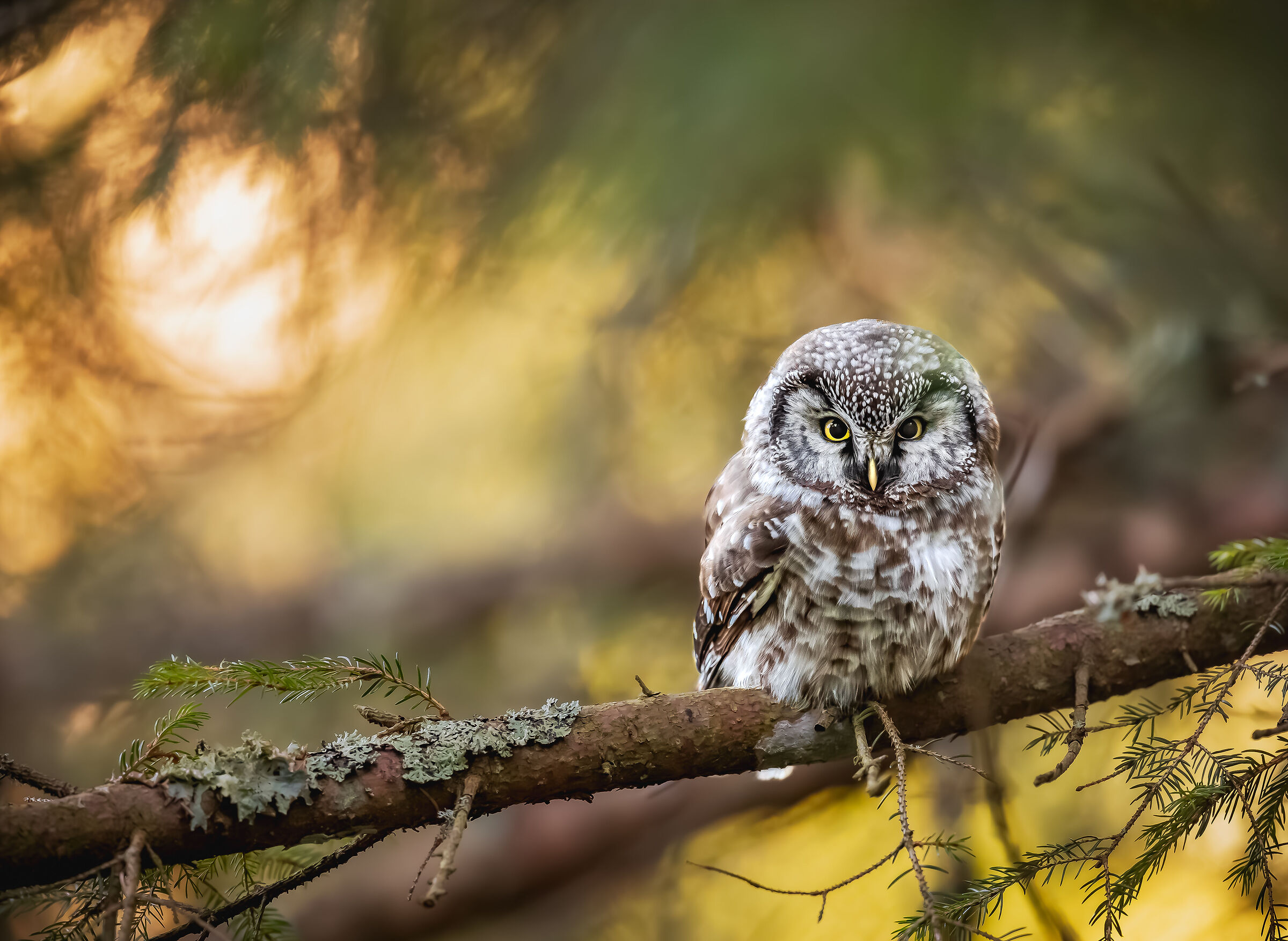 hidden among the foliage hides a mysterious elegance