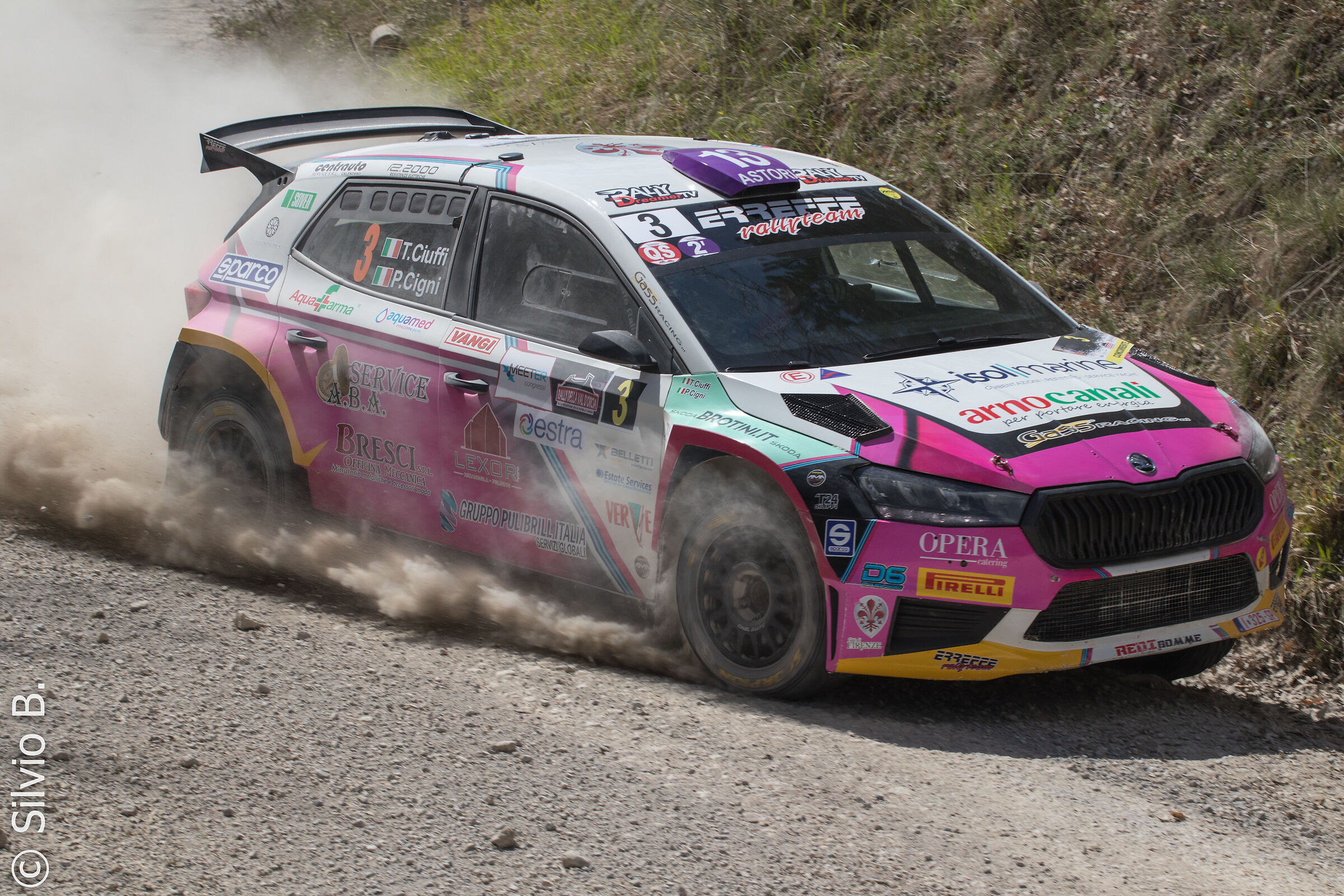 Tufts T.-Swans P./Skoda Fabia RS
