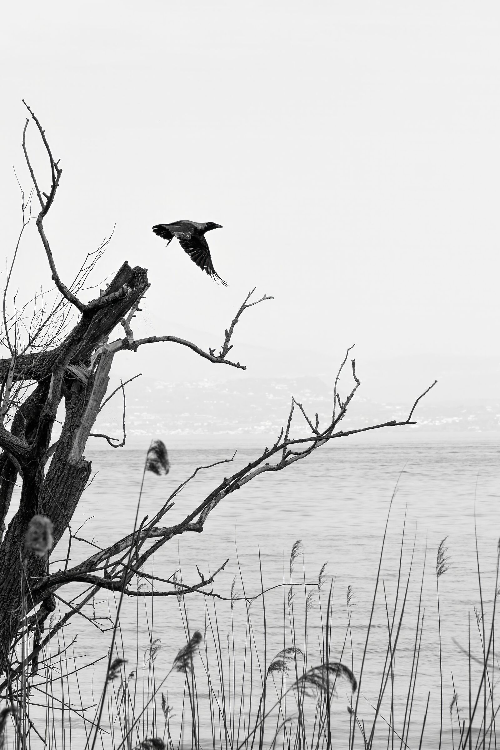 Glimpse of Lake Garda