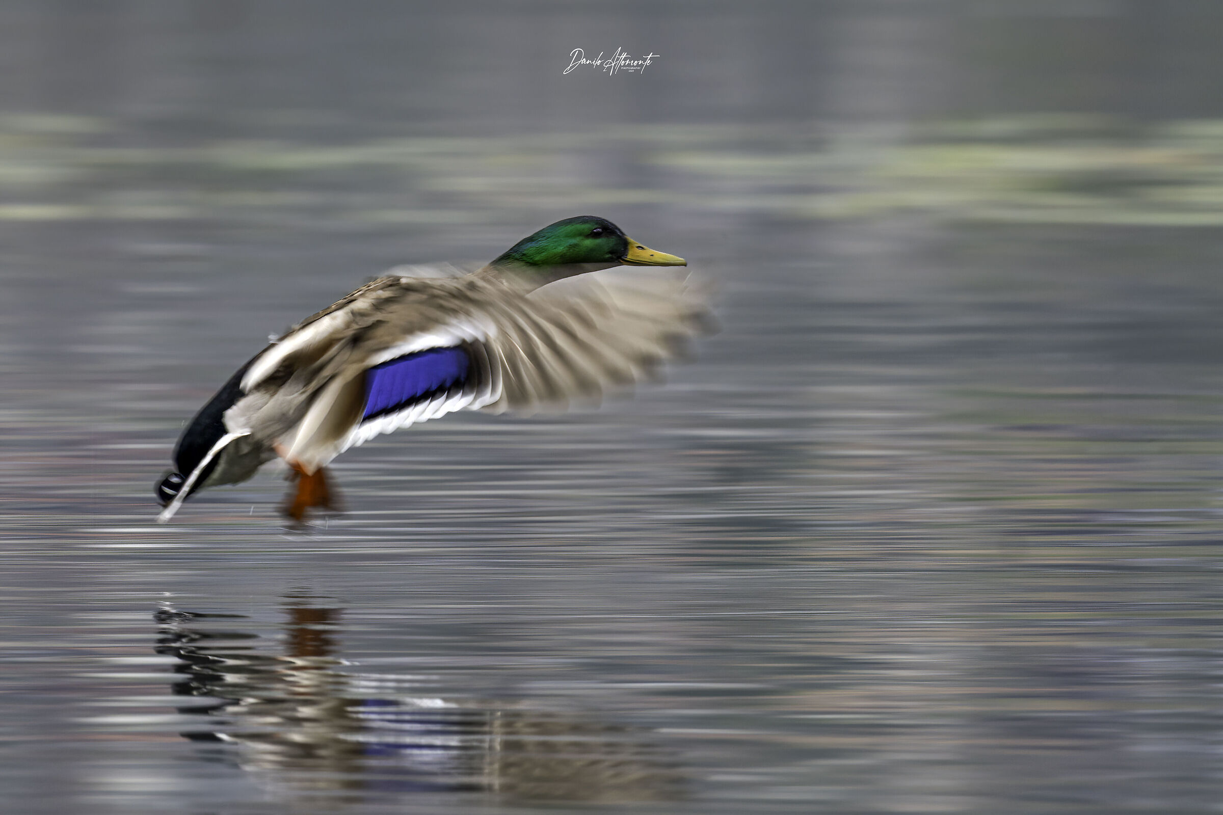 Untitled Photo