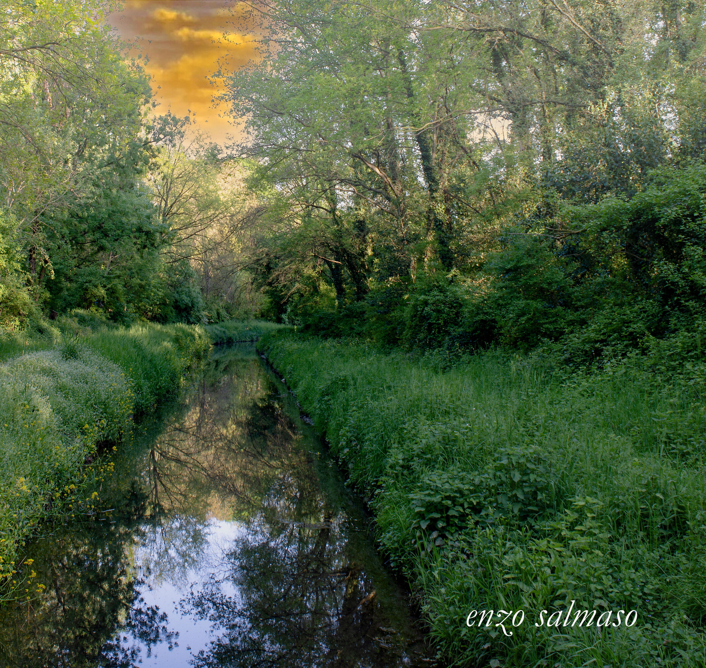 Canaletta in the green