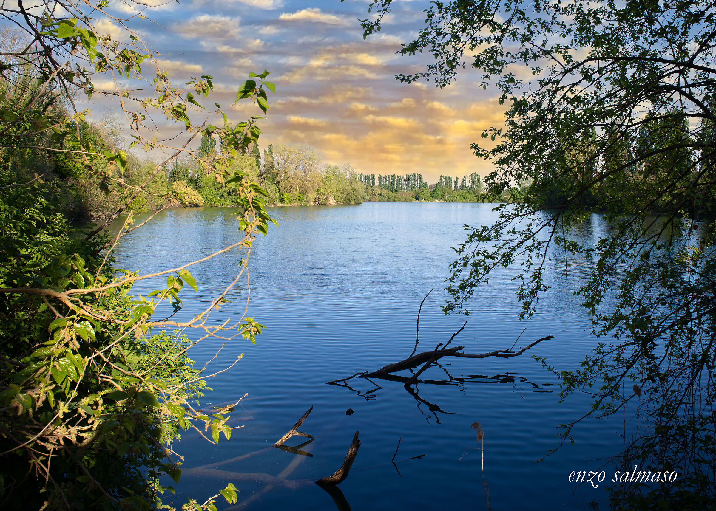 Pond