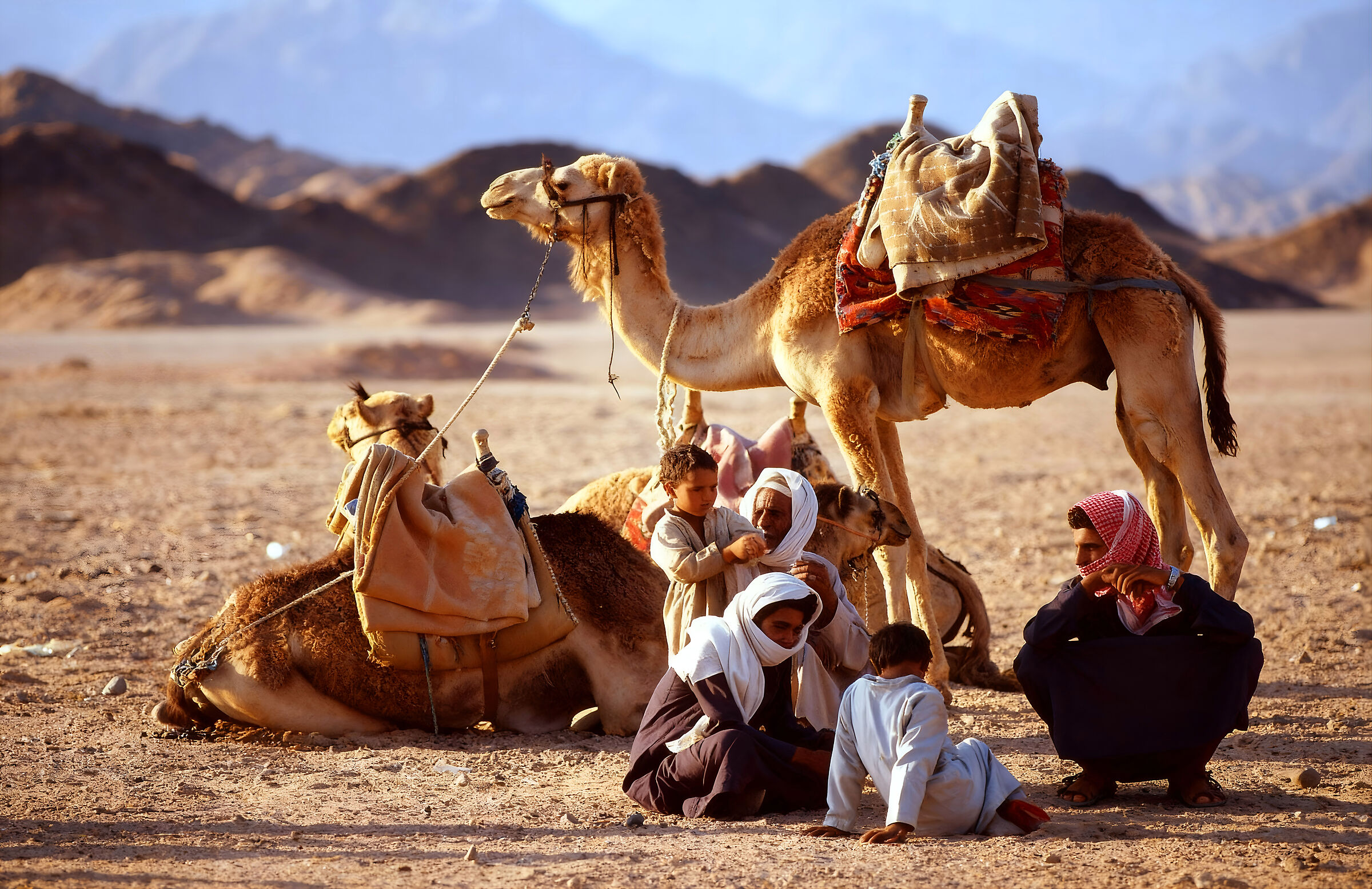 Tuareg 1993