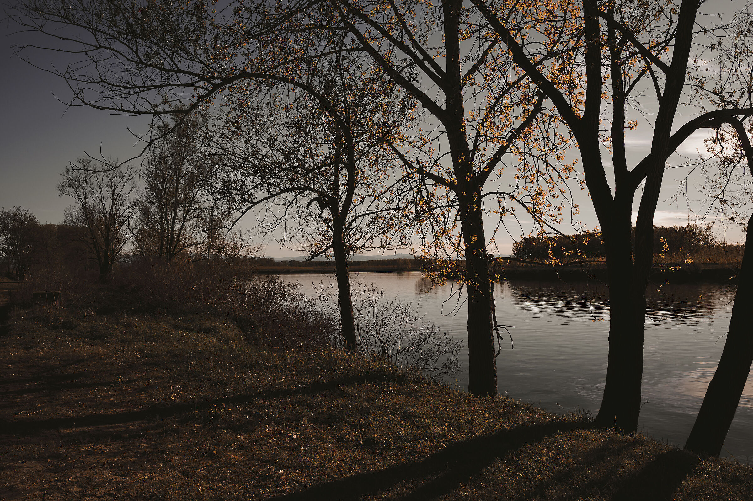Il grande fiume...