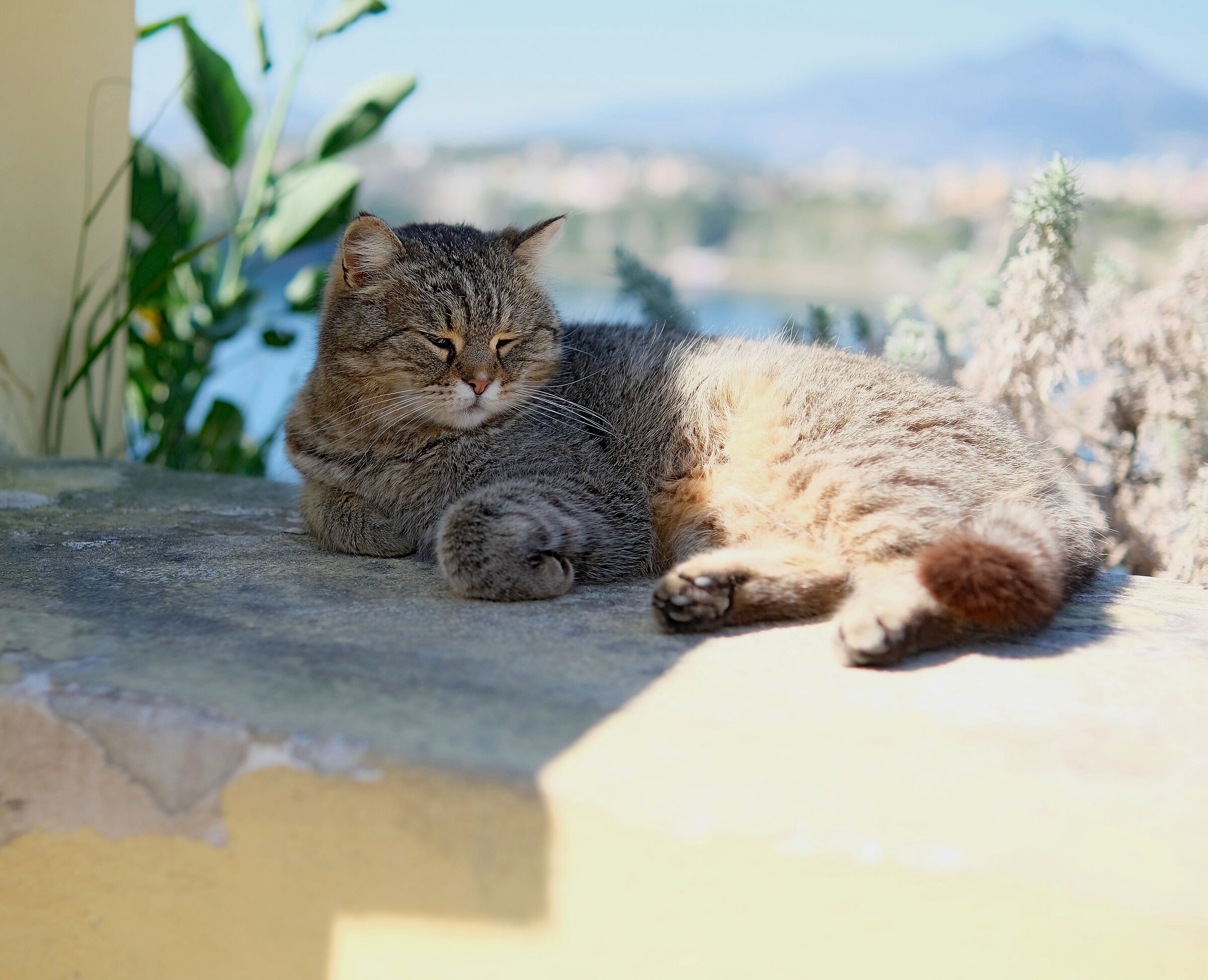 relax
