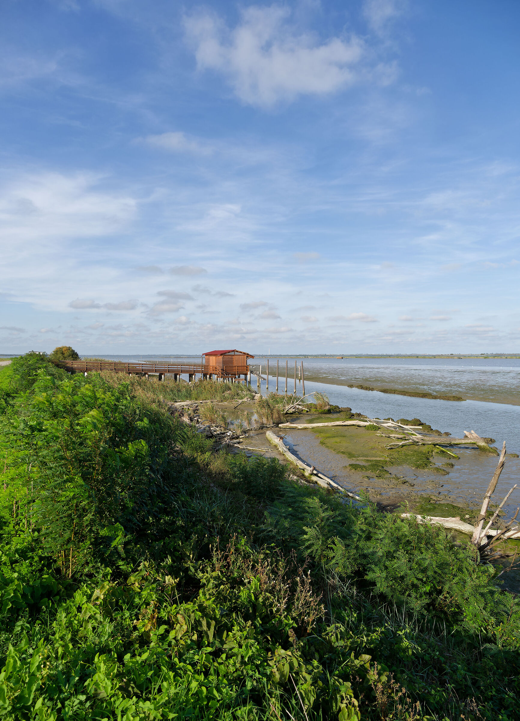 Delta del Po - capanno isolato