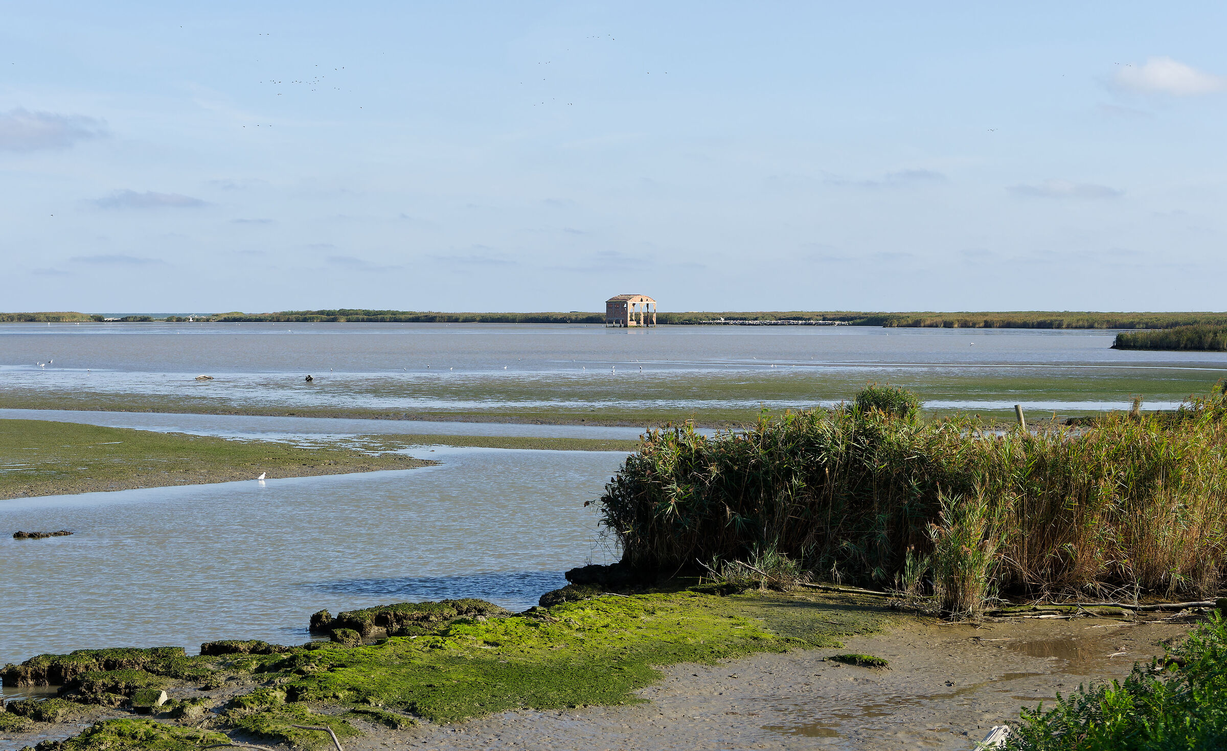 Delta del Po - veduta con rudere