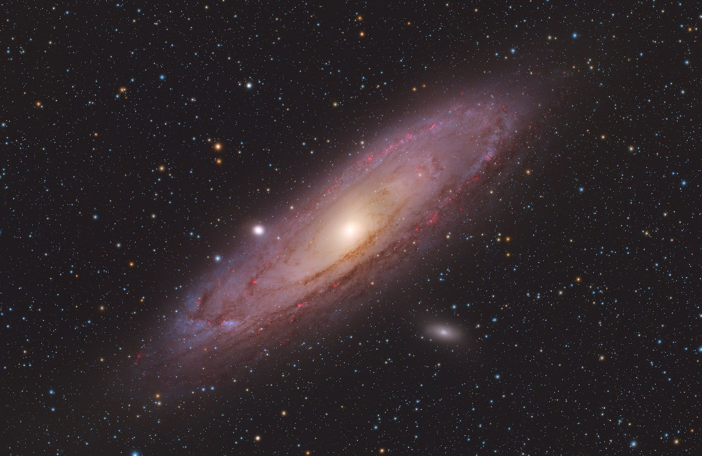 La splendida galassia di Andromeda!